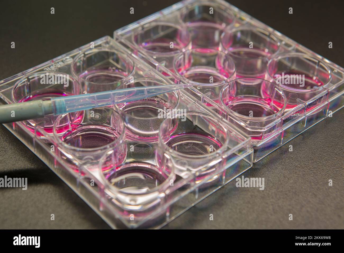Cell culture technique is common technique applied for medical