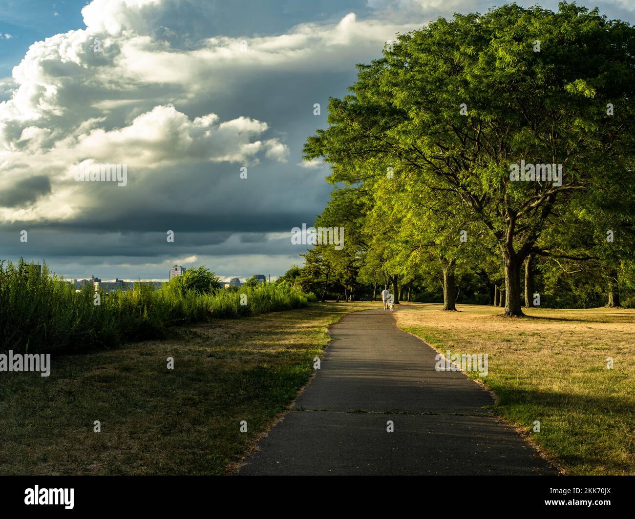 An aerial view of road surrounded by dense trees Stock Photo - Alamy