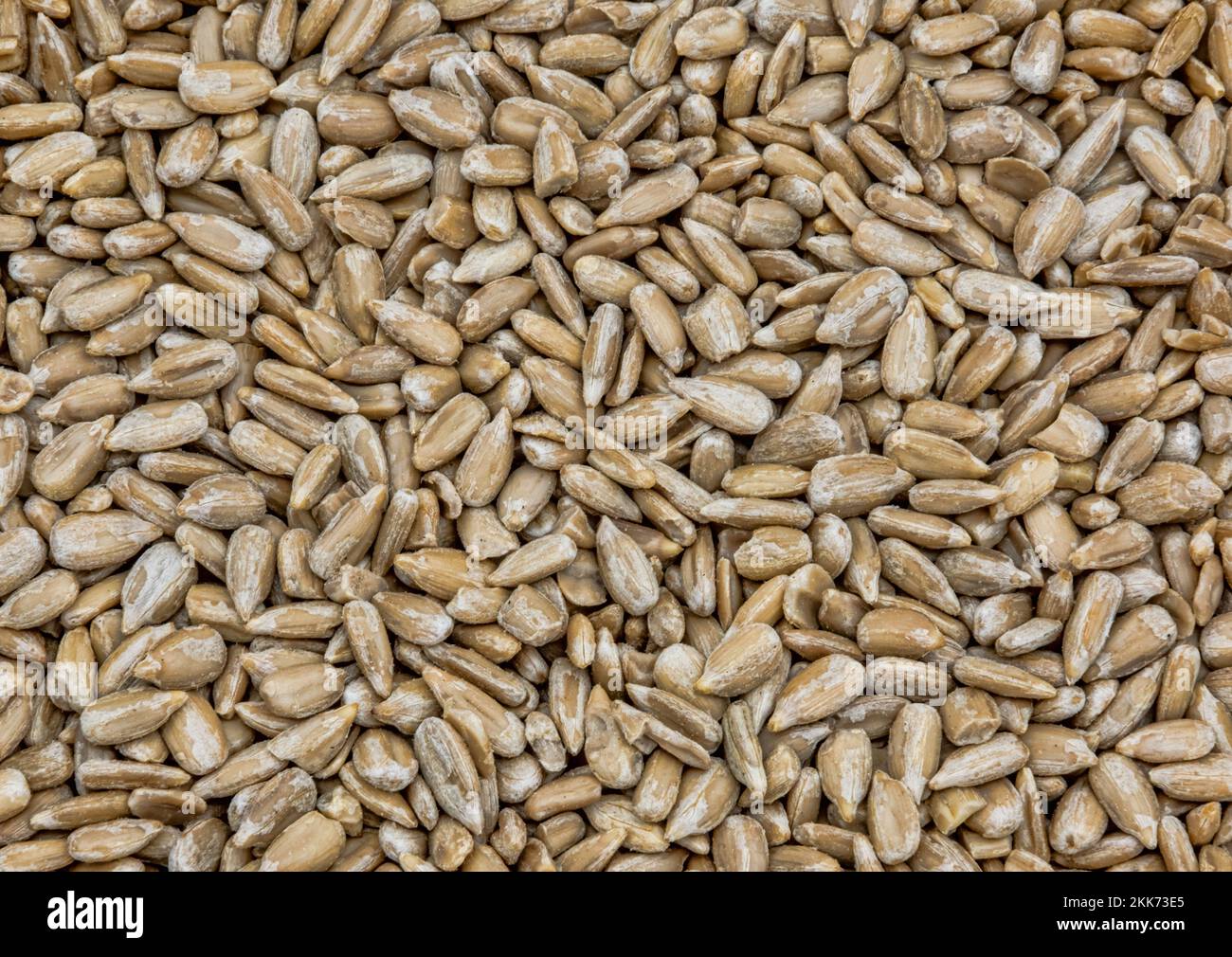 Pile of Sunflower Seeds background Stock Photo - Alamy
