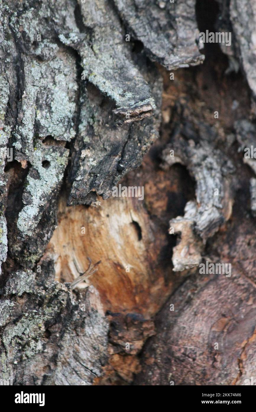 Nature in Catawissa, Missouri 2022 Stock Photo Alamy