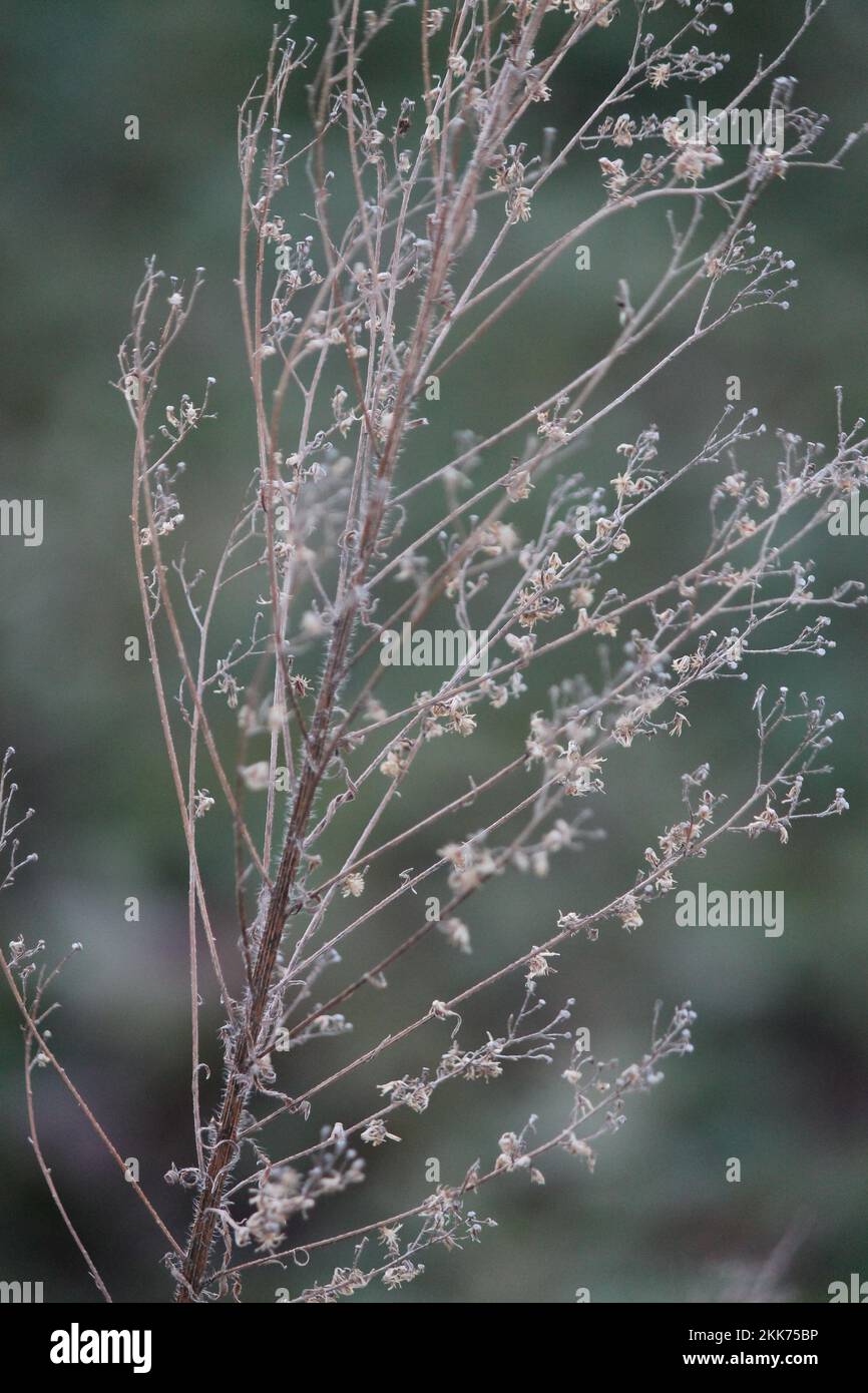 Nature in Catawissa, Missouri 2022 Stock Photo Alamy