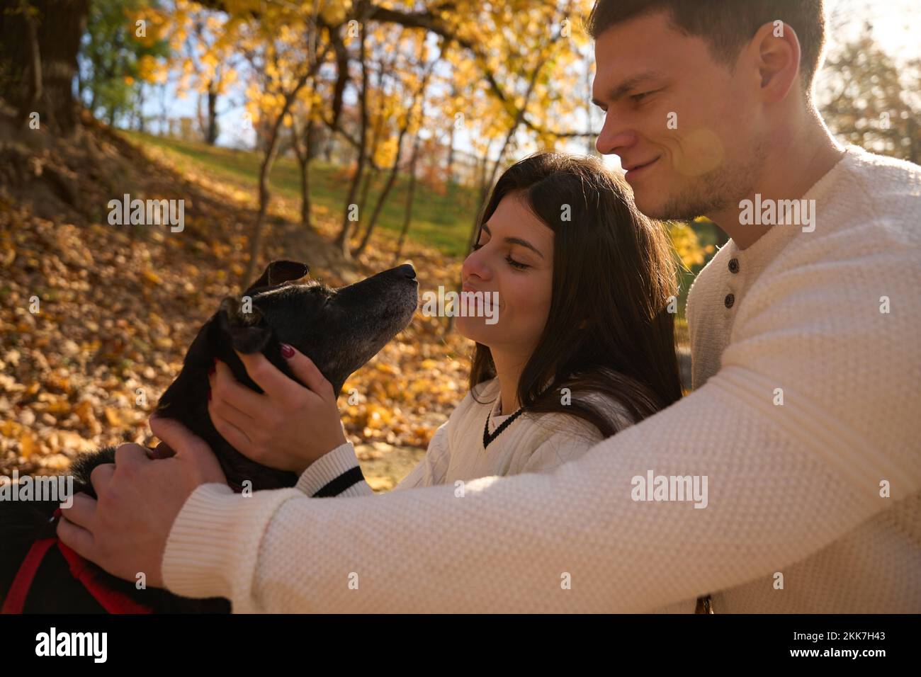 Guy and his girlfriend are smiling and stroking the dog Stock Photo
