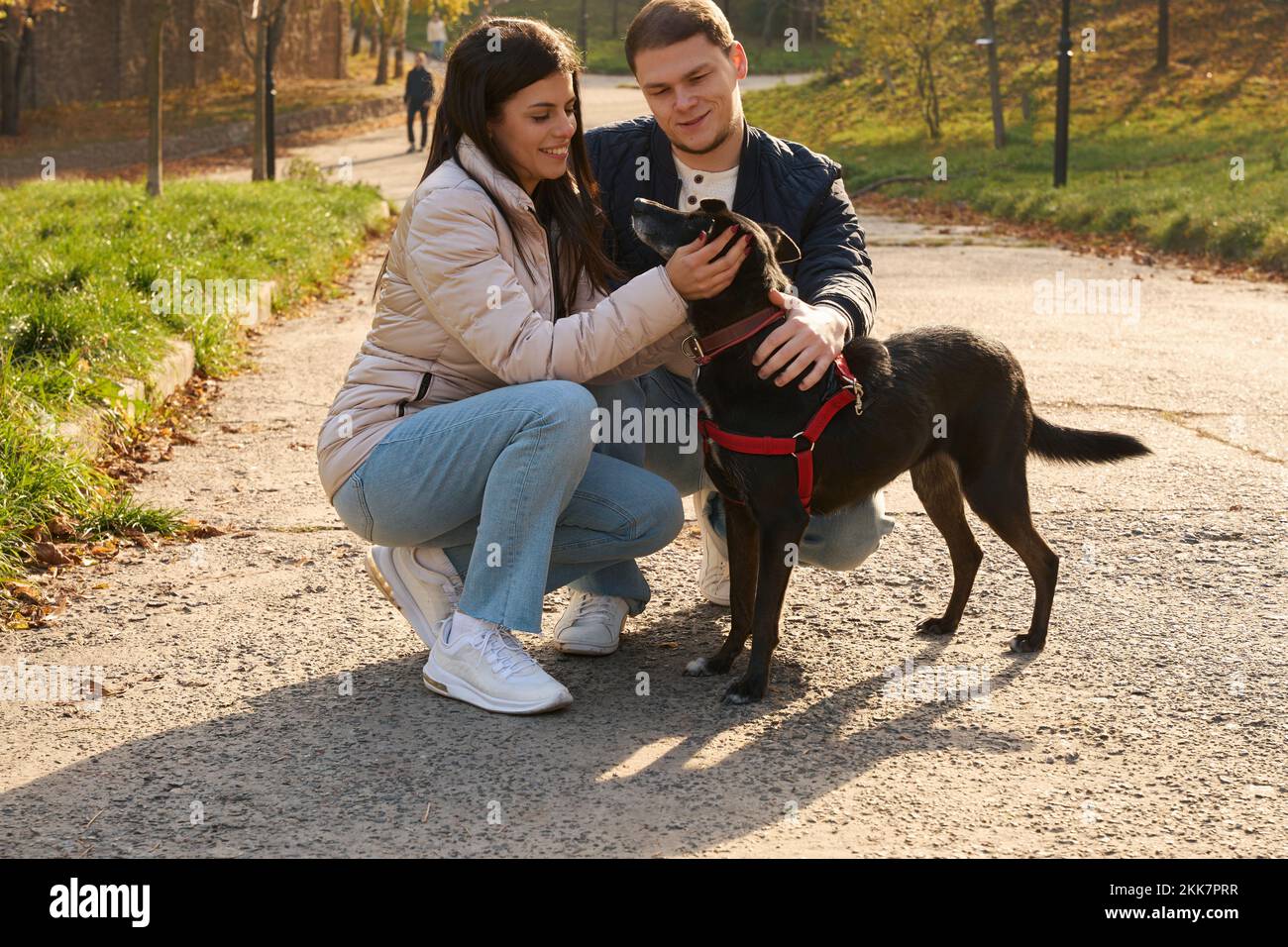 Young couple on a walk in park with their dog Stock Photo