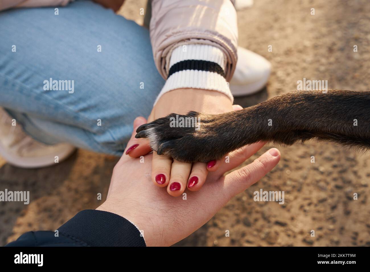 Young people on a walk with dog in the park Stock Photo