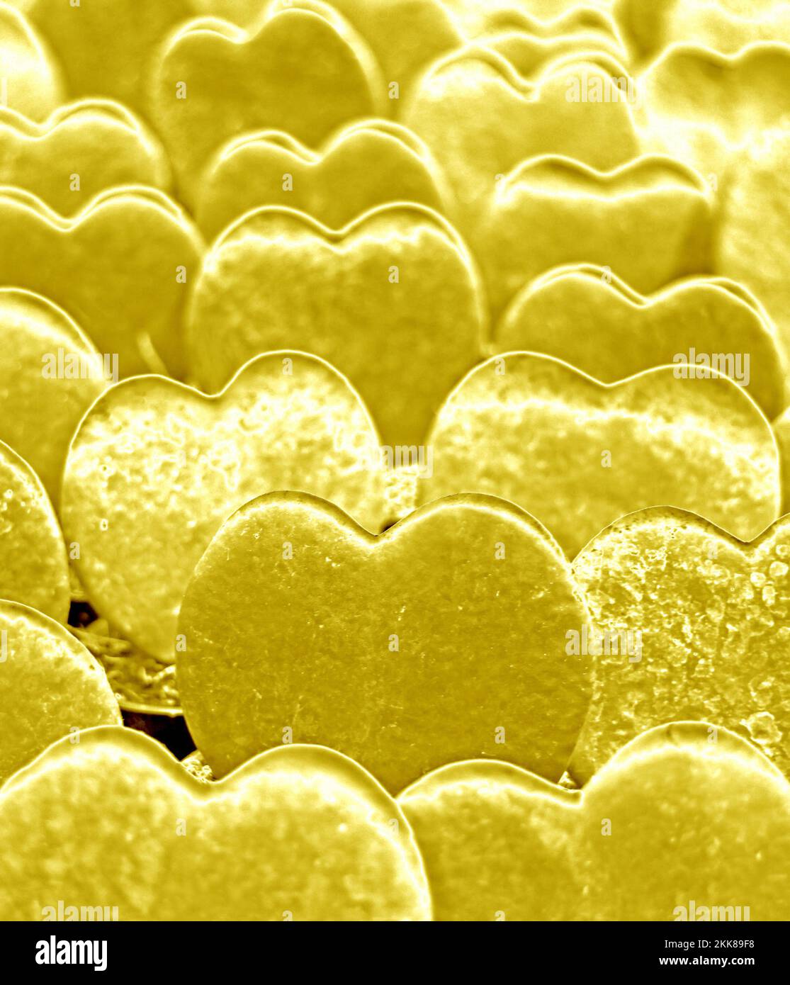 Pop Art Surreal Style Rows of Glossy Golden Sweetheart Valentine Hoya ...