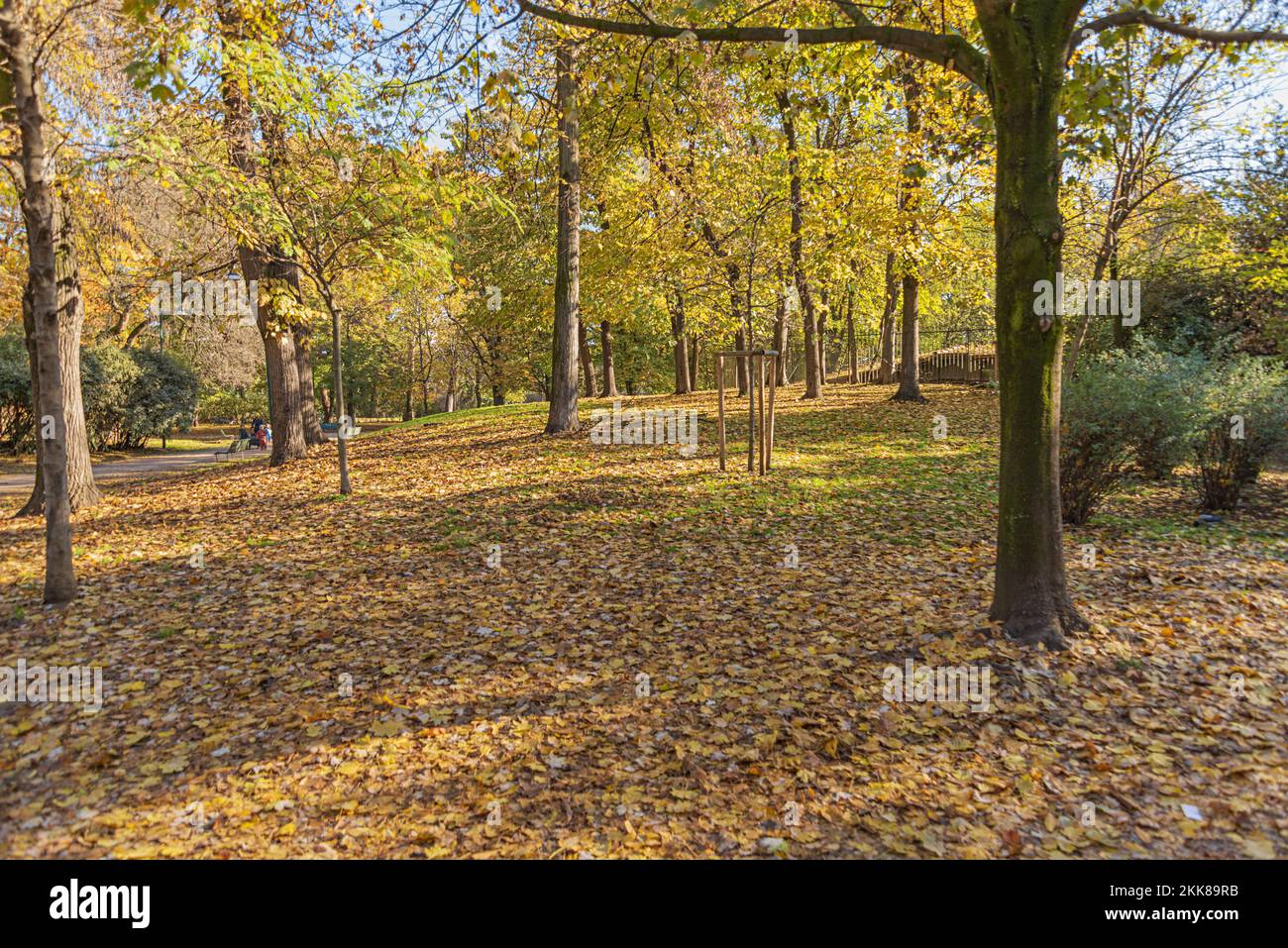 Photo Vintage Milano - Amoureux Au Parco Sempione - Tirage Argentique 24x18 Cm