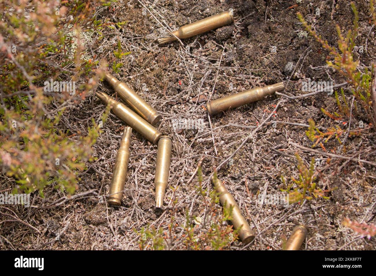 Discarded military munitions on burnt heathland. Hankley Common, Surrey, UK, Stock Photo