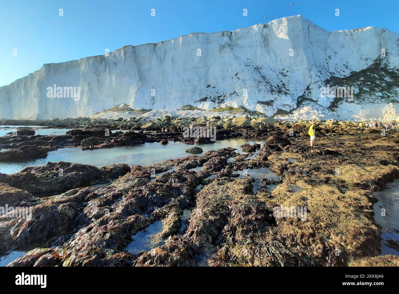 Beachy Head foreshore at low spring tide. East Sussex, UK. Stock Photo