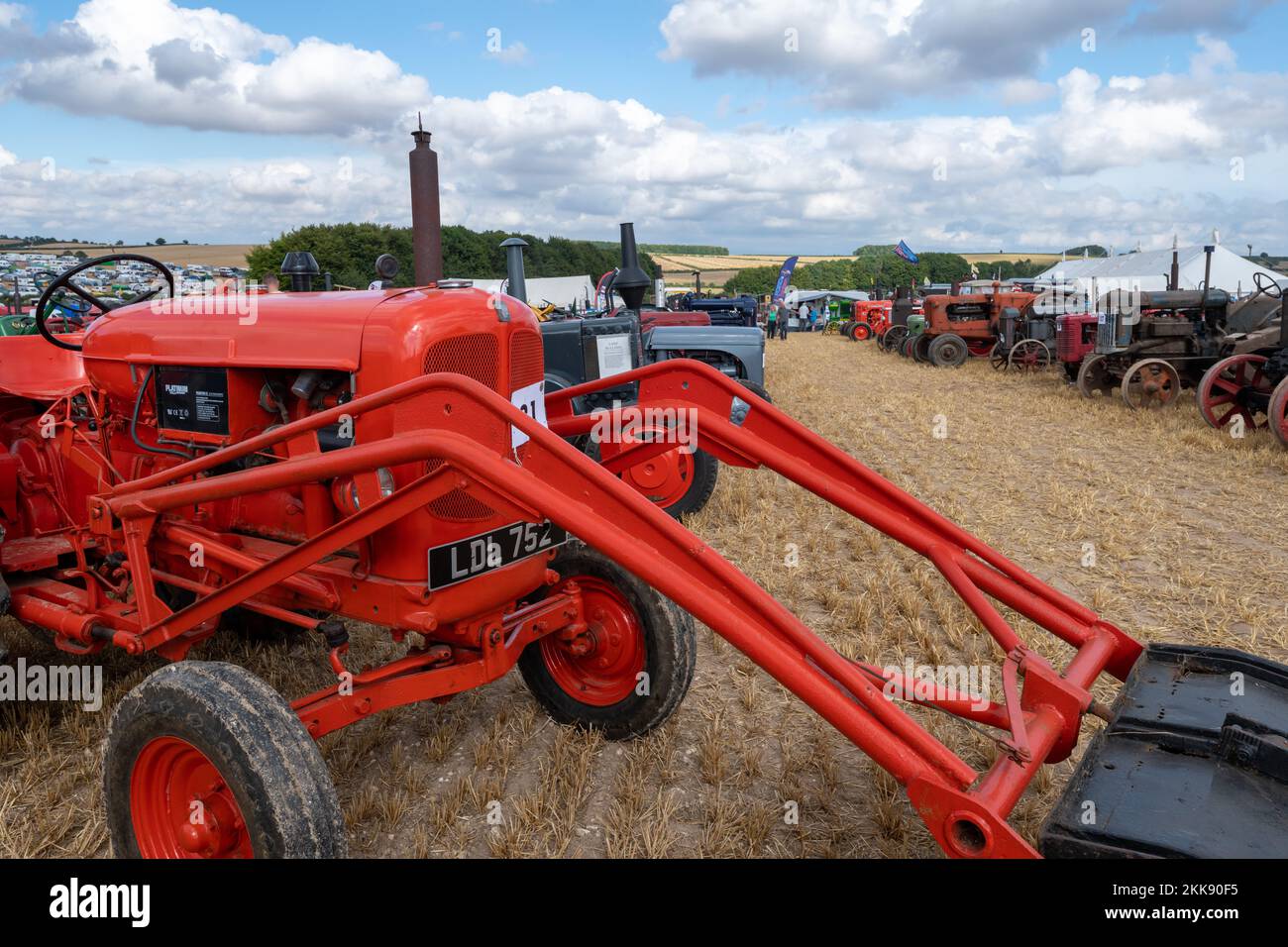 Tarrant Hinton.Dorset.United Kingdom.August 25th 2022.A selection of