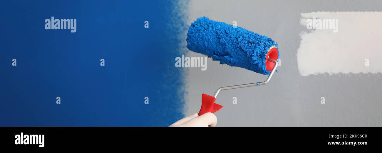 Worker with roller tool ready to paint walls, cover in blue colour Stock Photo