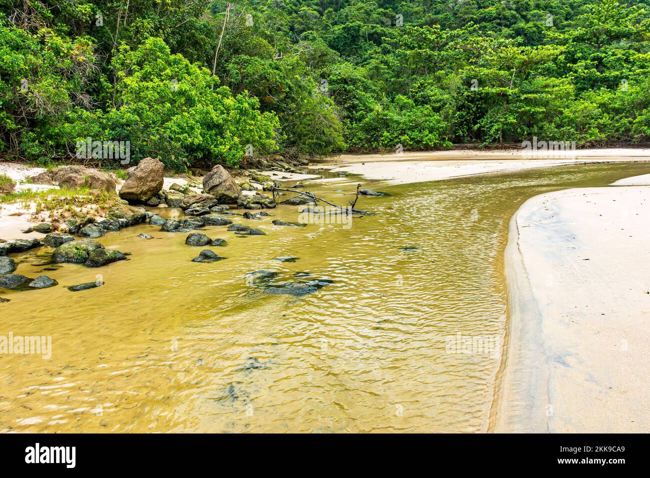 River with water running over the sand of the beach and along the forest towards the sea in Trindade in the Paraty coastal district of Rio de Janeiro Stock Photo