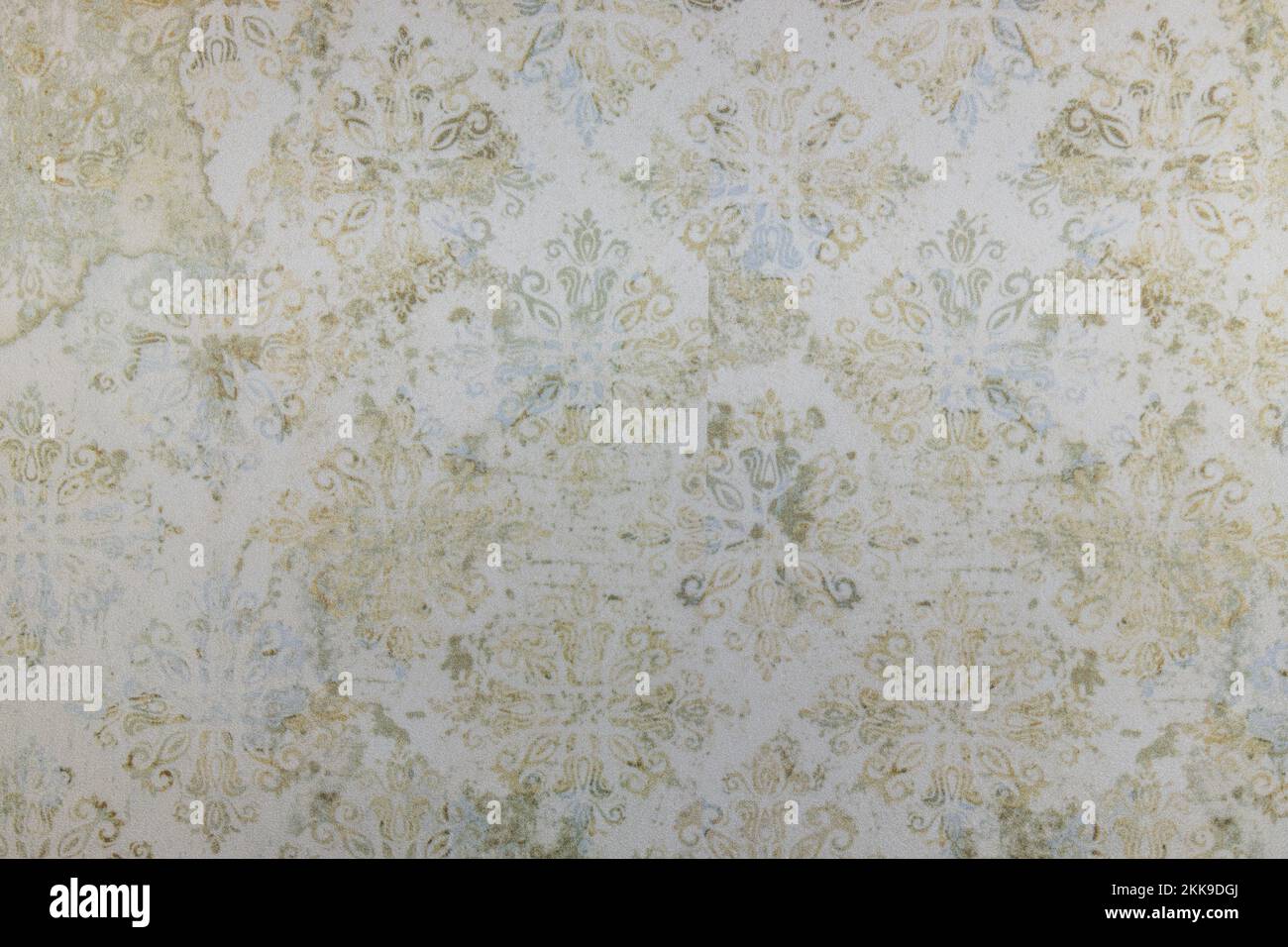 Backdrop wallcovering with ethnic motifs on a light background, mixed ...