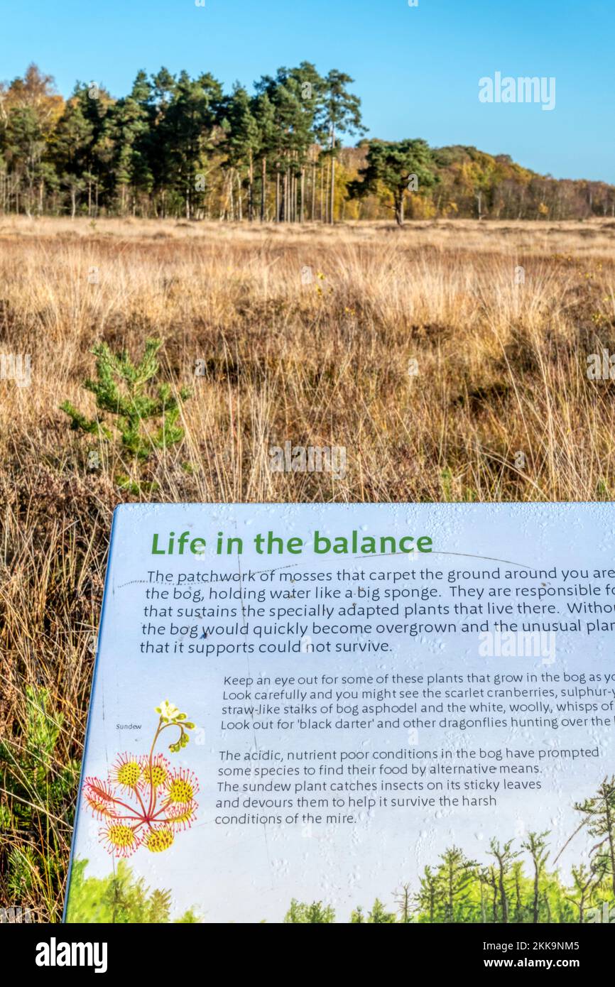 A Natural England sign reads Life in the Balance in front of the landscape of Dersingham Bog nature reserve.  Focus is on sign. Stock Photo