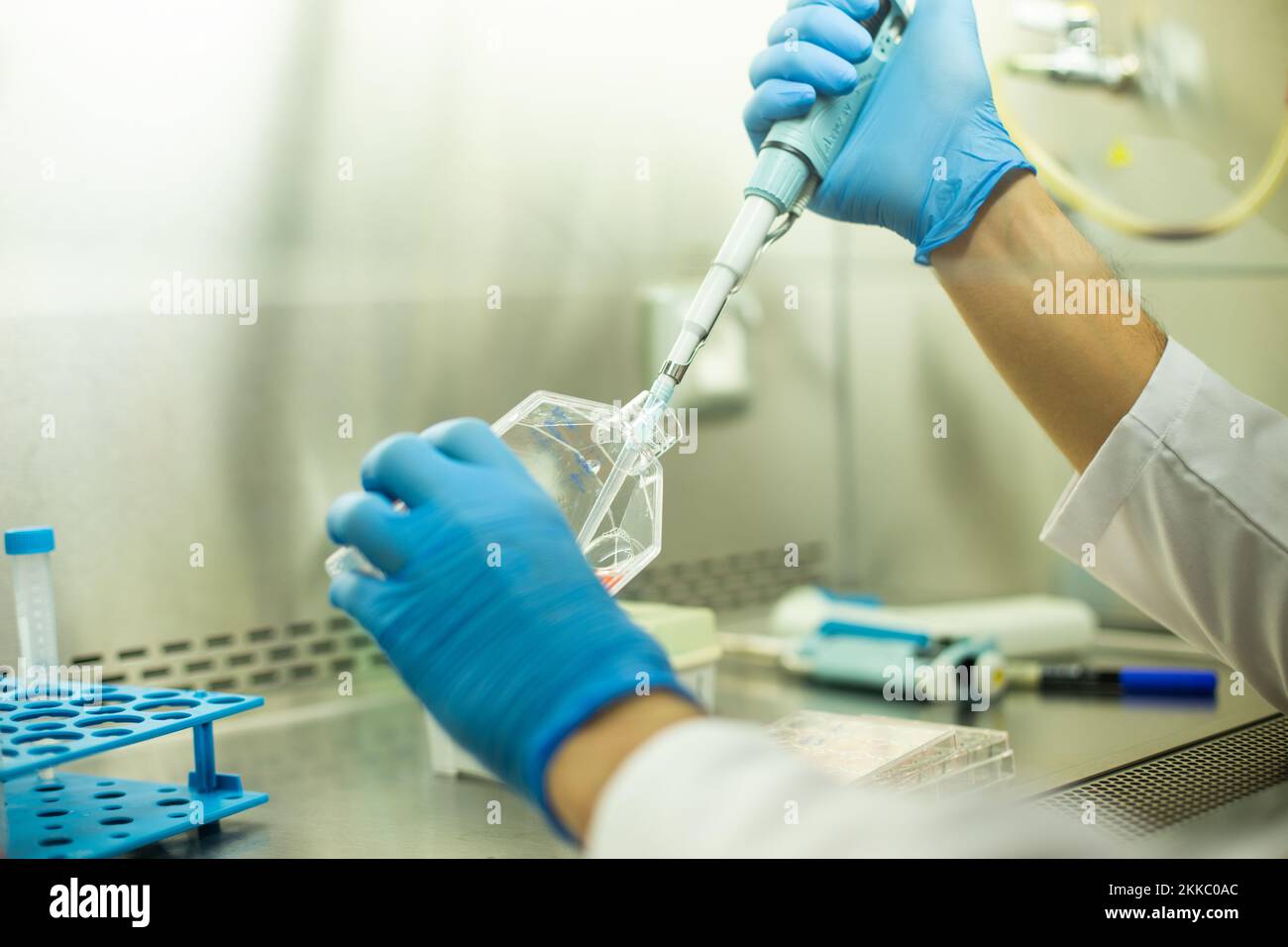 Lab Bio Cell cell culture at the medicine, medical and biology laboratory Stock ...