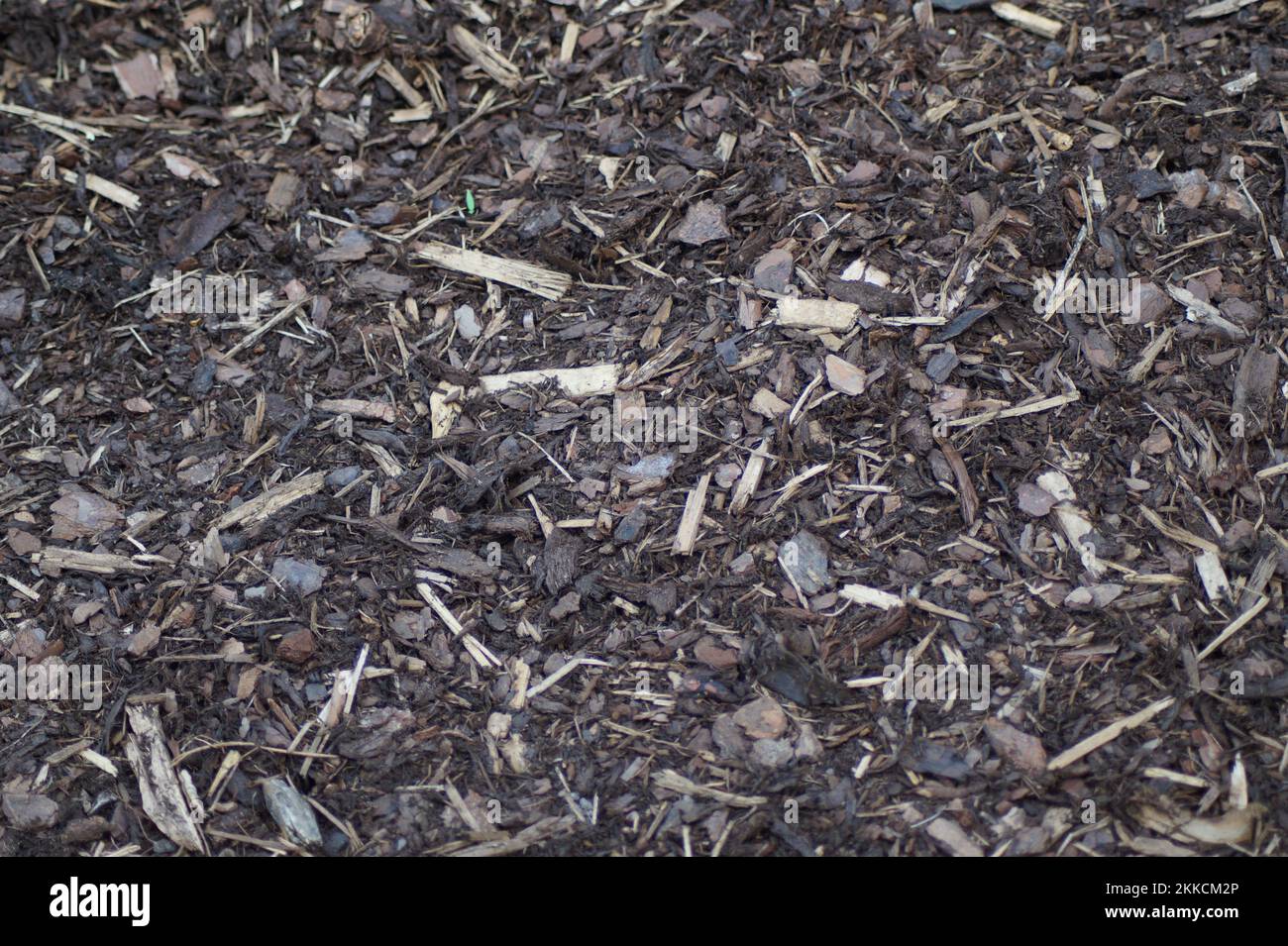 structure of the bark mulch, bed cover Stock Photo