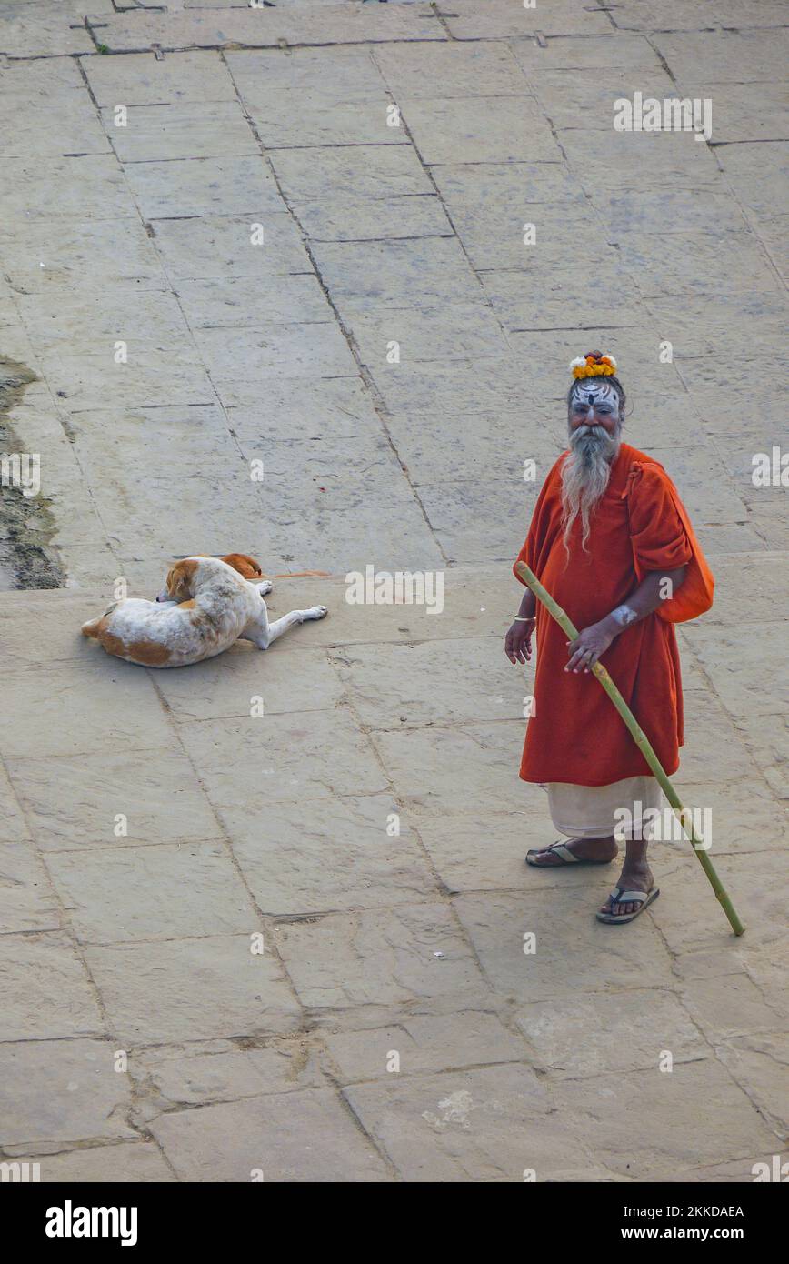 Delhi, India - DEC 11, 2011: old priest painted in the face in traditional manner with bamboo stick and sleeping dog. The red dress symbolizes his rel Stock Photo