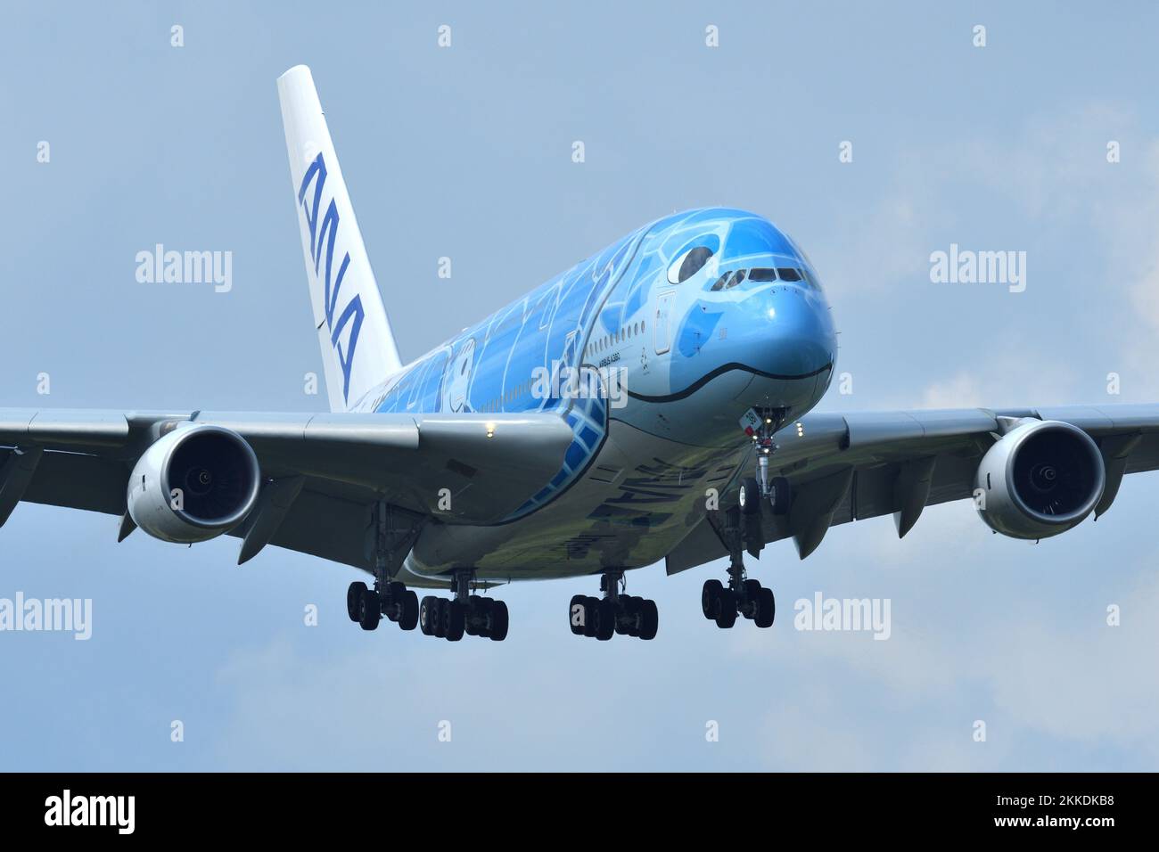 その他 ANA AIRBUS A380 FLYING HONU 1:200 ANAオリジナル＞NH20232 1:200 AIRBUS A380 JA381A FLYING HONU