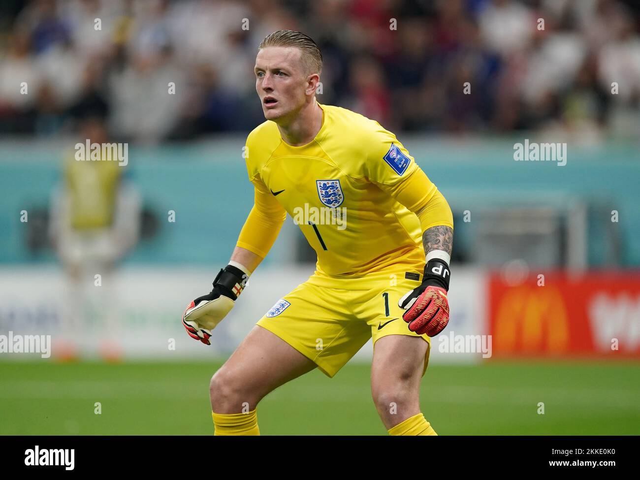 England Goalkeeper Jordan Pickford During The FIFA World Cup Group B england-goalkeeper-jordan-pickford-during-the-fifa-world-cup-group-b