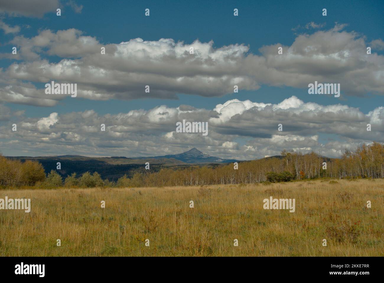 Early autumn in Colorado's San Juan Mountains: view across a field on Stoner Mesa toward Nipple Mountain Stock Photo