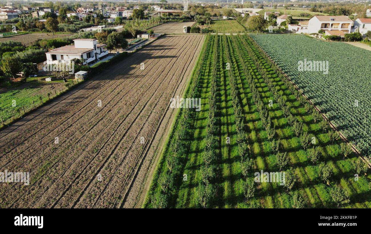 An aerial view of green agricultural fields on a sunny day Stock Photo ...