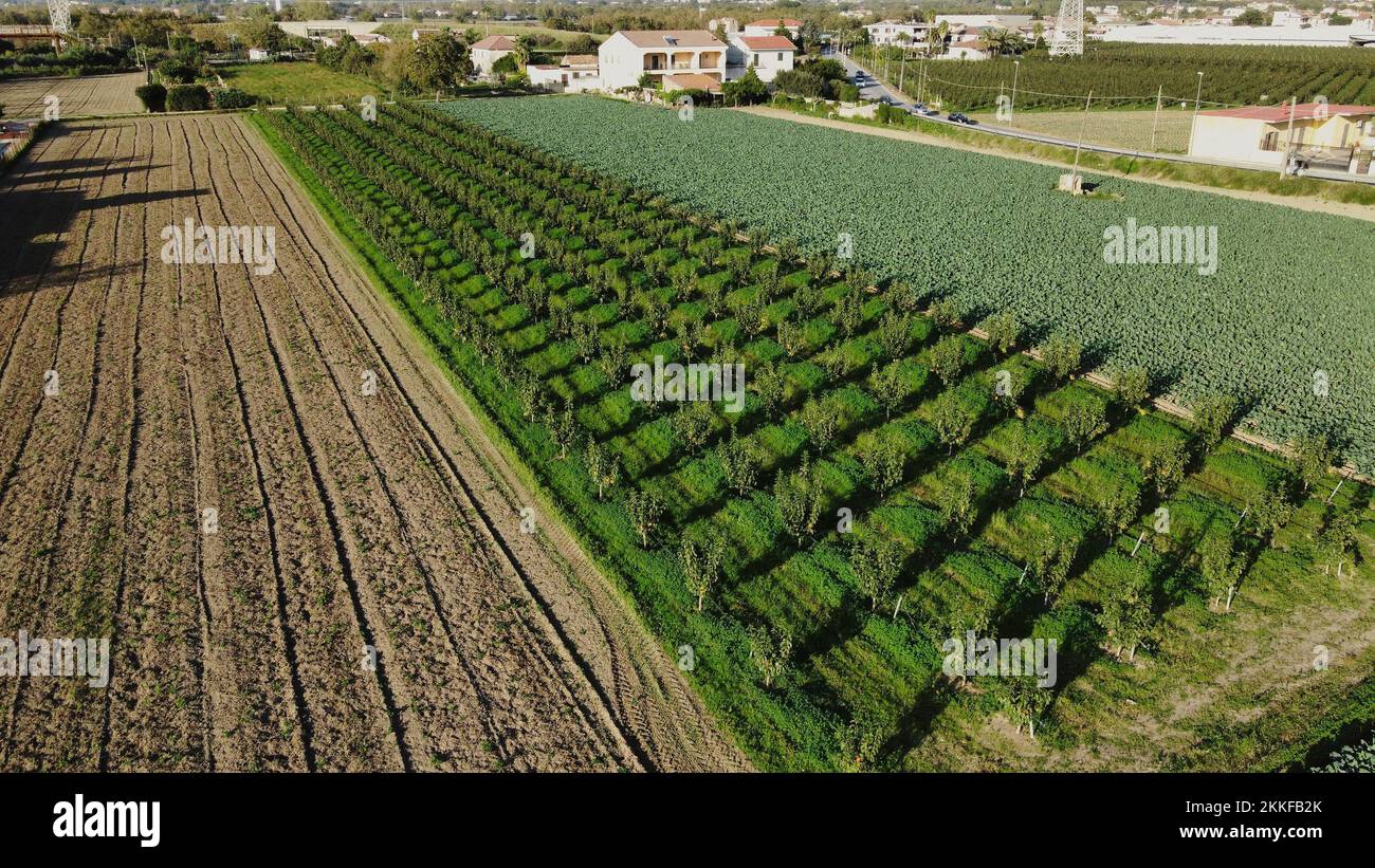 An aerial view of green agricultural fields on a sunny day Stock Photo ...