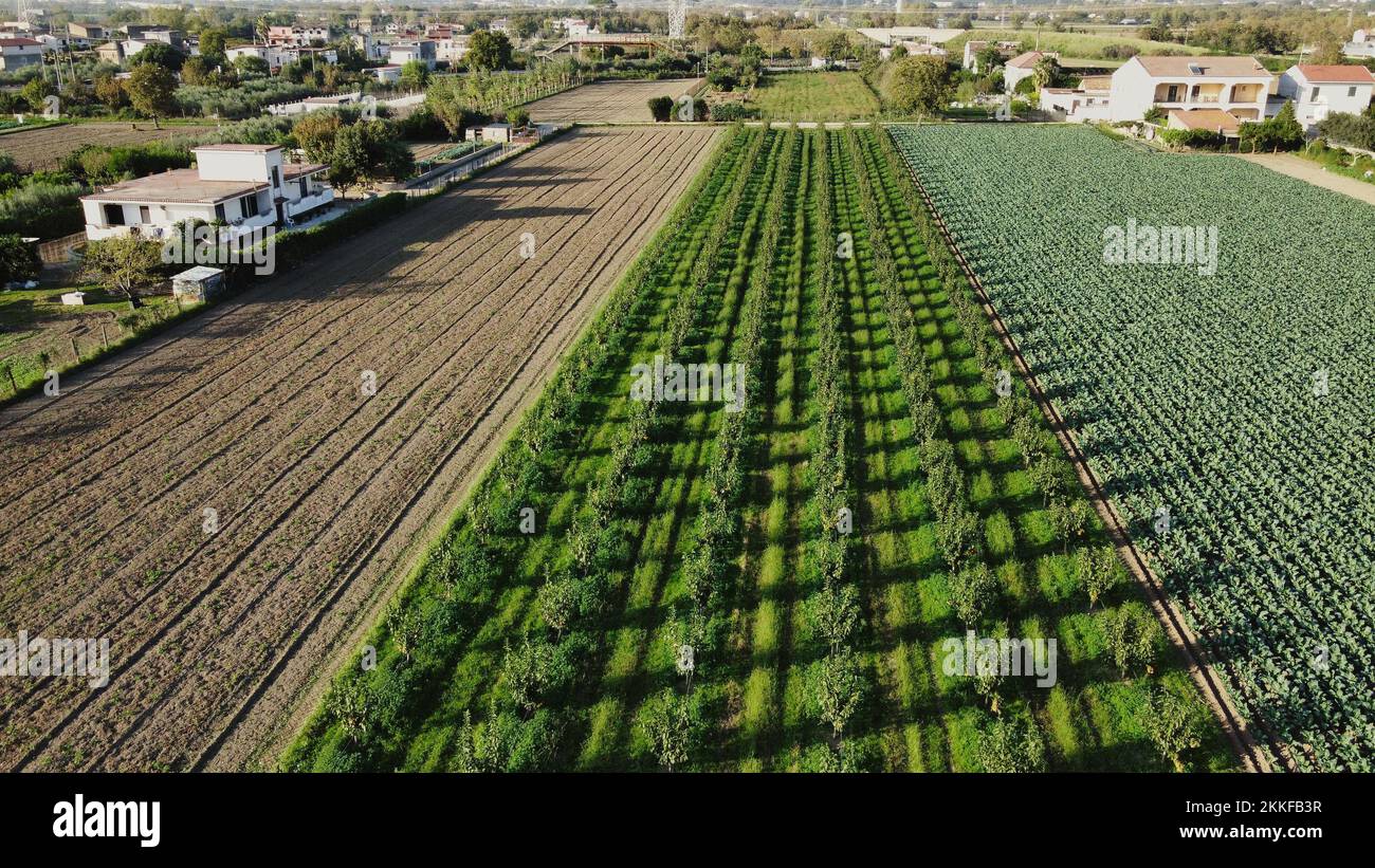 An aerial view of green agricultural fields on a sunny day Stock Photo ...