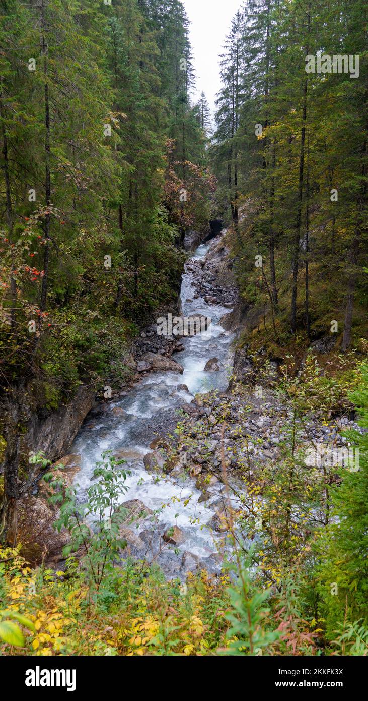 A small waterfall in a mountain forest Stock Photo - Alamy