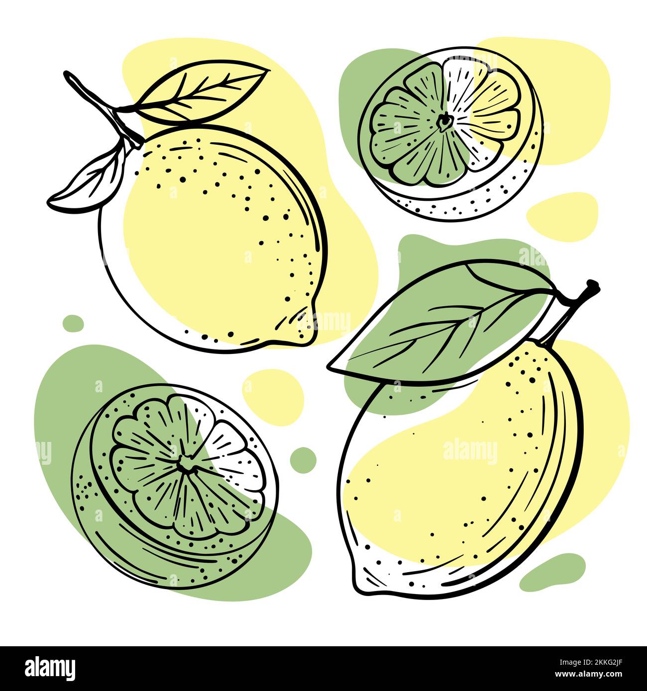 LEMON LIME Abstract Delicious Citrus Fruits With Leaves And Cut In Half For Design Your Store And Restaurant Menu Hand Drawn In Sketch Style Vector Il Stock Vector