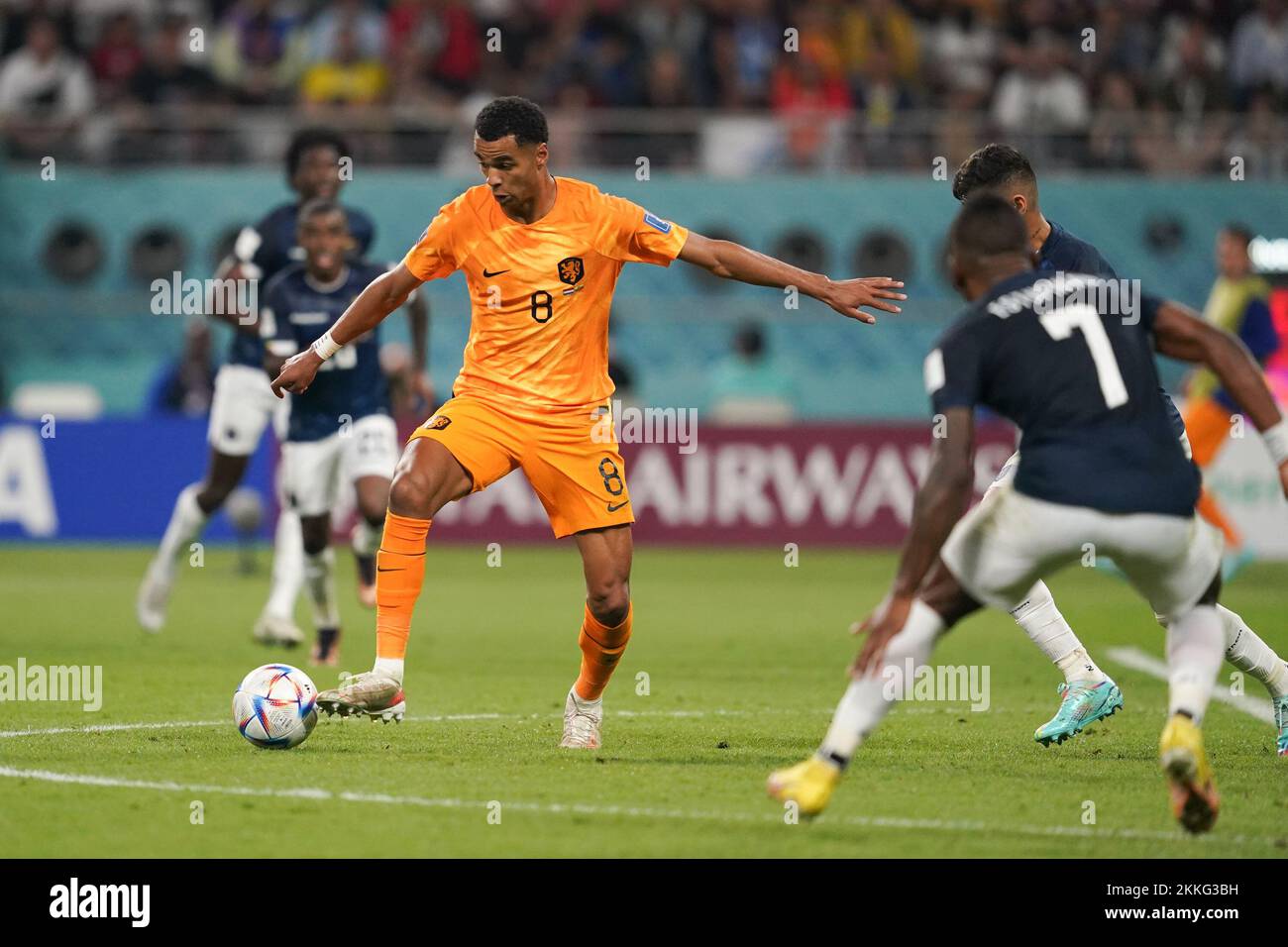Doha, Qatar. 25th Nov, 2022. DOHA, QATAR - NOVEMBER 25: Player of Netherlands C. Gakpo controls the ball during the FIFA World Cup Qatar 2022 group A match between Netherlands and Ecuador at Khalifa International Stadium on November 25, 2022 in Doha, Qatar. (Photo by Florencia Tan Jun/PxImages) Credit: Px Images/Alamy Live News Stock Photo