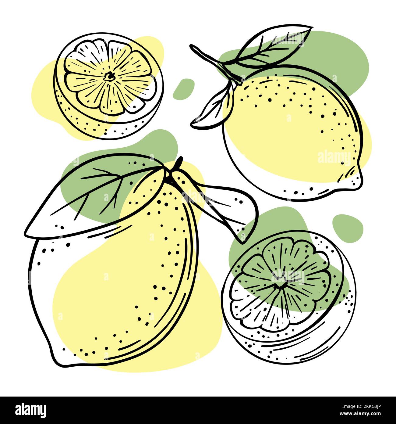 LEMON Abstract Delicious Citrus Fruit With Leaves And Cut In Half For Design Your Store And Restaurant Menu Hand Drawn In Sketch Style Vector Illustra Stock Vector