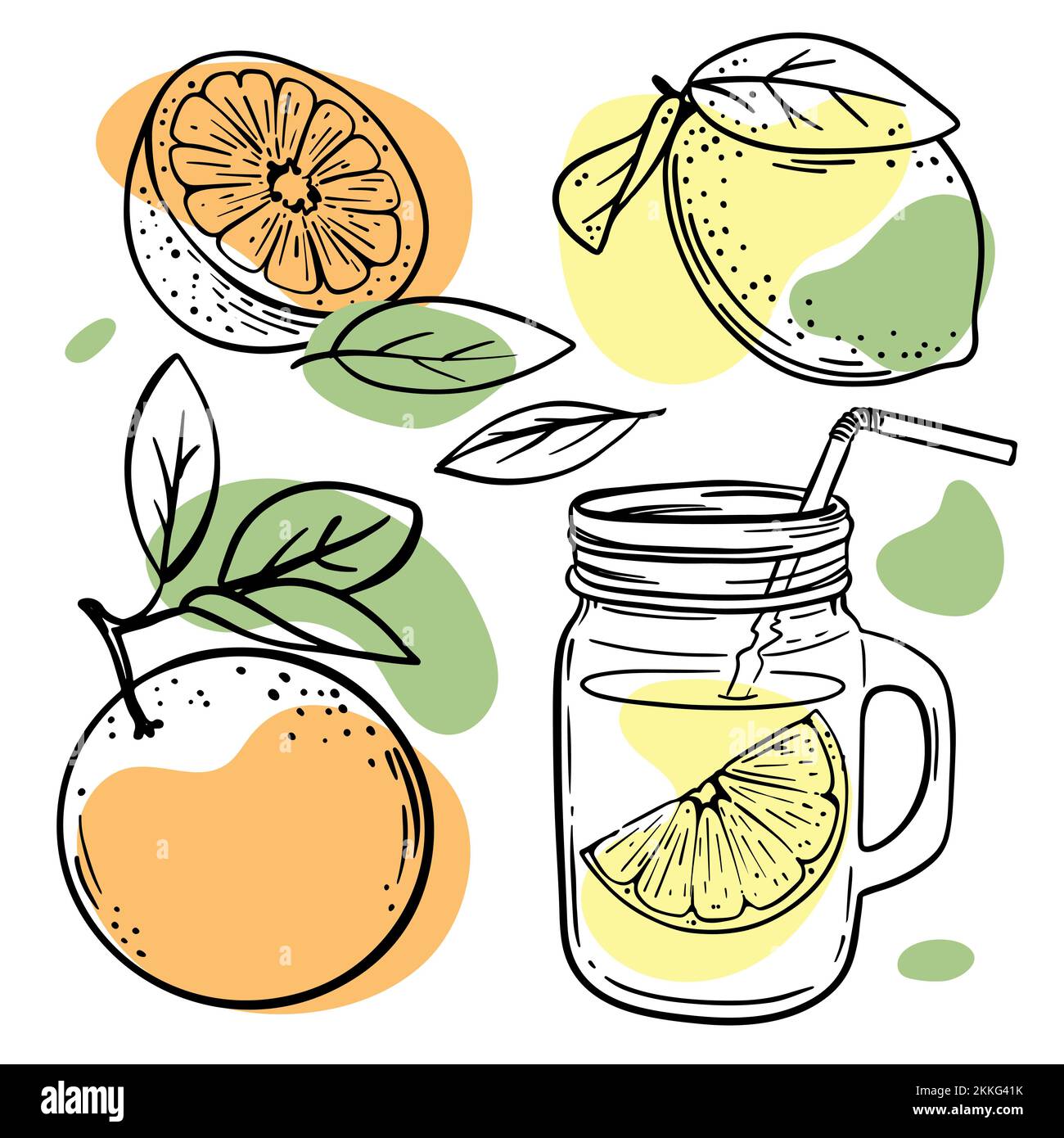 LEMON ORANGE JUICE In Glasslock And Tropical Fruits Whole and Halved With Leaves For Design Your Store And Restaurant Hand Drawn In Sketch Vector Illu Stock Vector