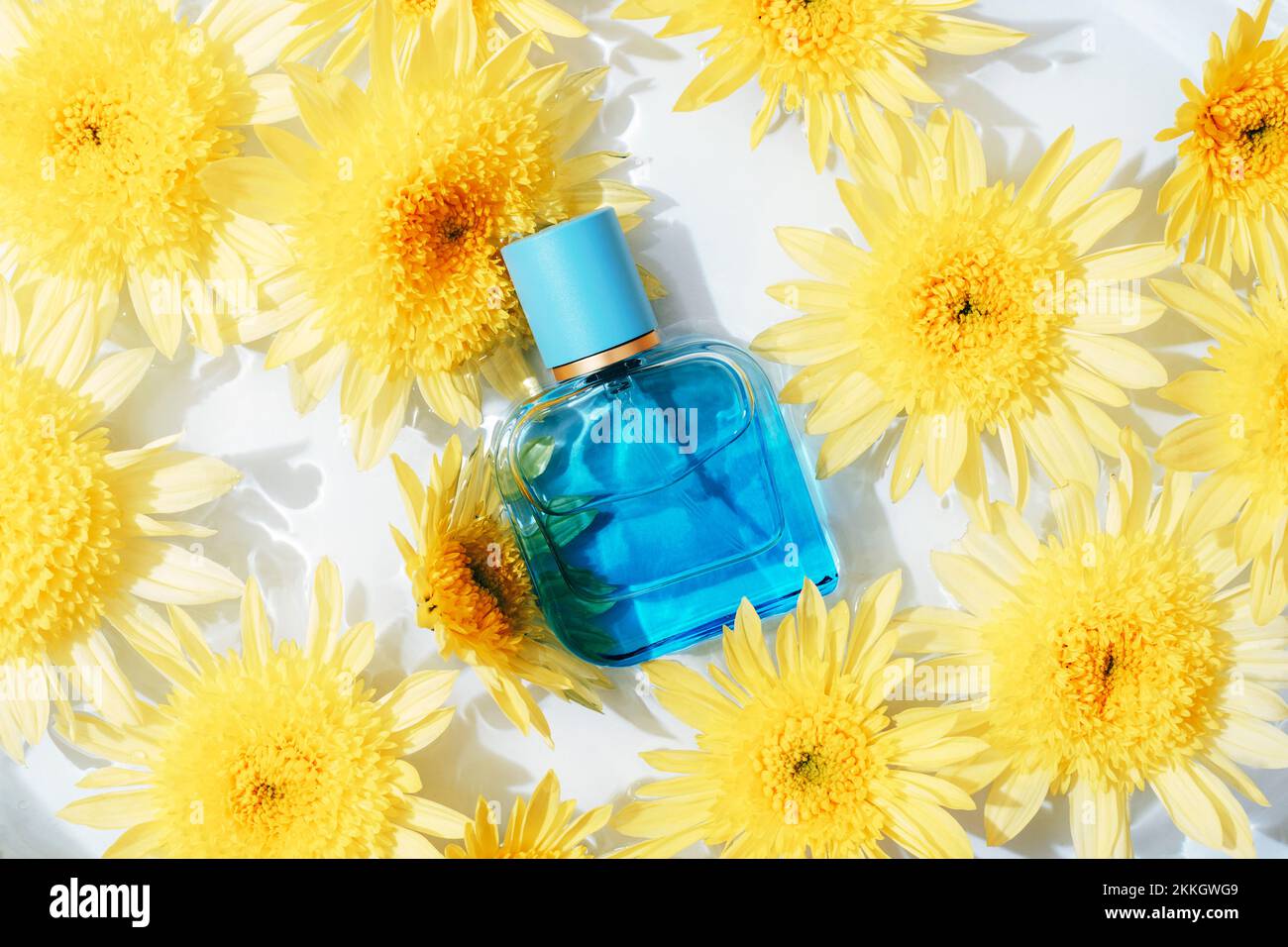 Blue perfume bottle on water background with yellow chrysanthemum flowers. Top view, flat lay. Stock Photo