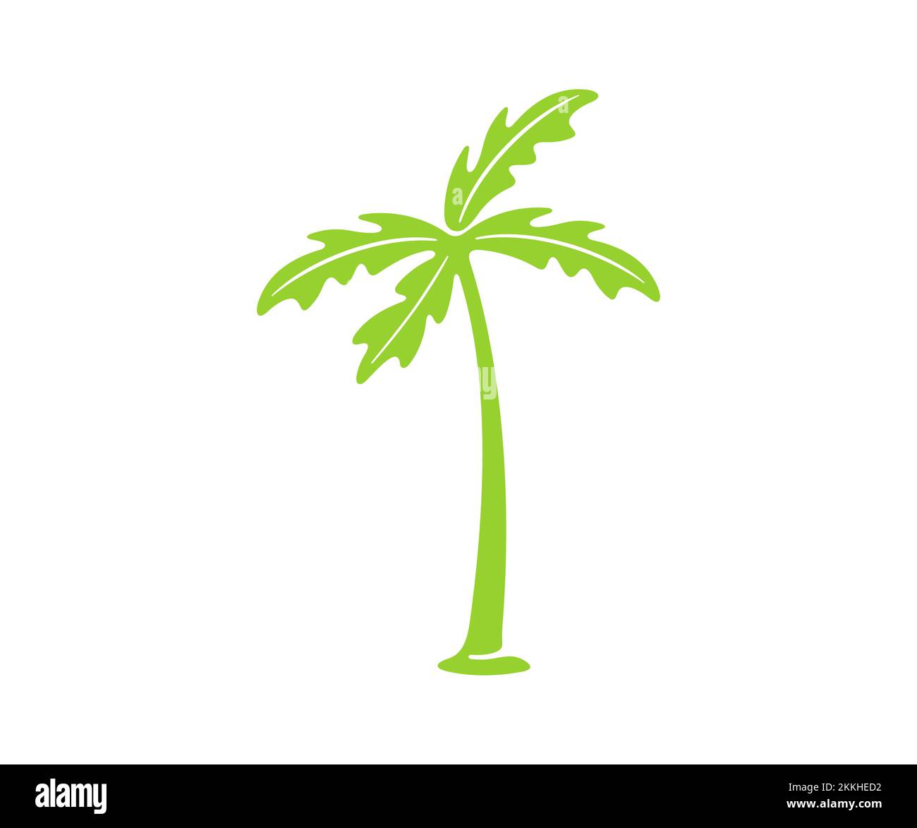 Palm tree, tree, plants, nature and tropics, graphic design. Leaves, leaf, foliage, flora and coconut palm, vector design and illustration Stock Vector