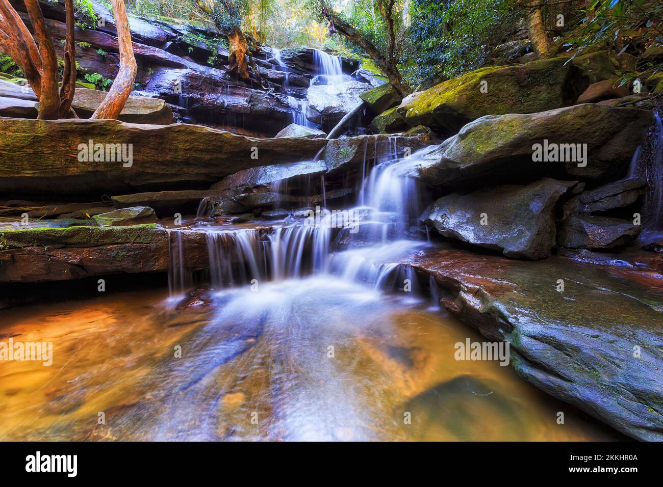 Somersby falls scenic rainforest cascade waterfall on the Central coast