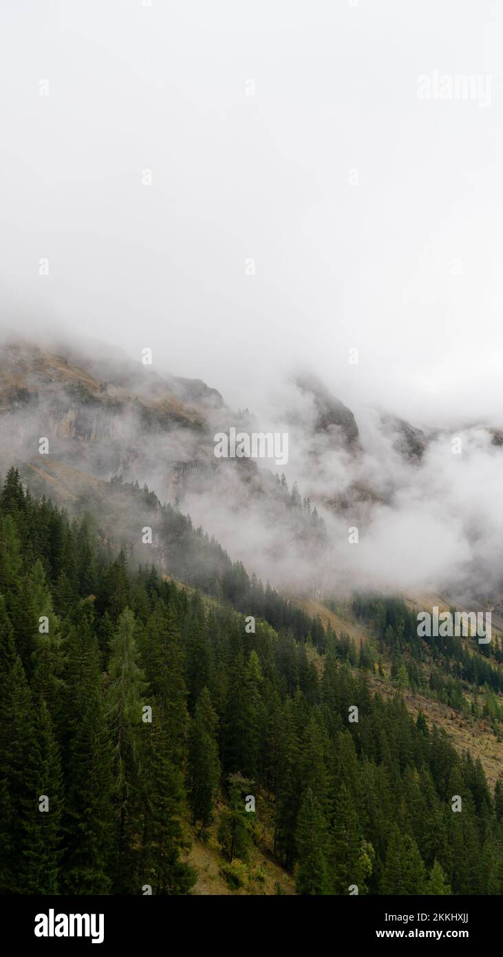 A vertical view of a foggy mountainside with trees Stock Photo - Alamy