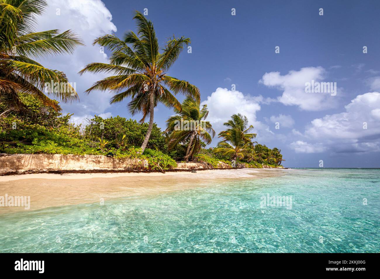 Palms line Flamenco Beach on the tropical Caribbean island of Culebra, Puerto Rico, USA. Stock Photo