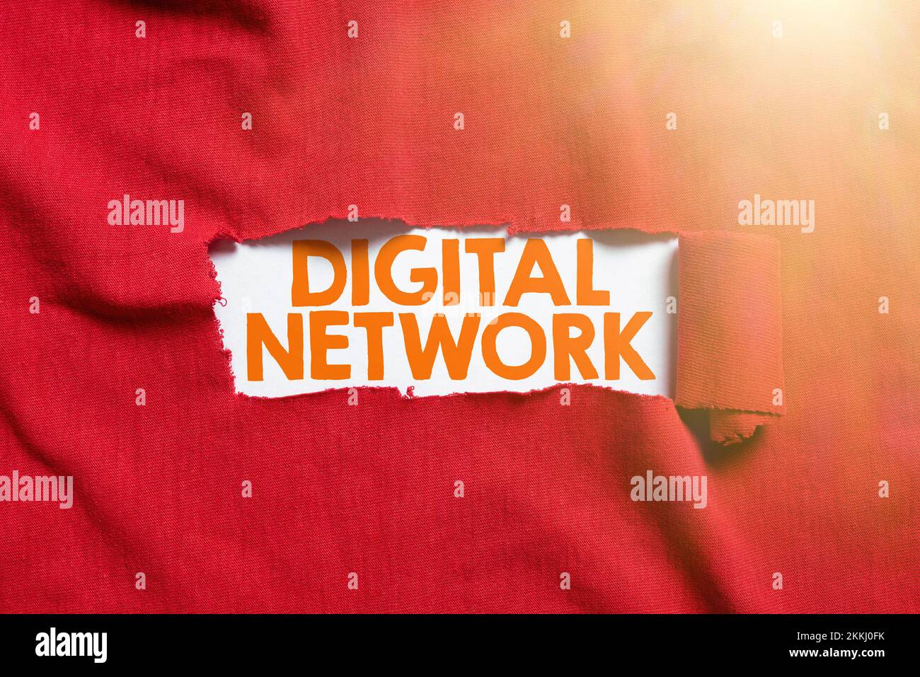 Conceptual display Digital Network. Business idea network incorporating