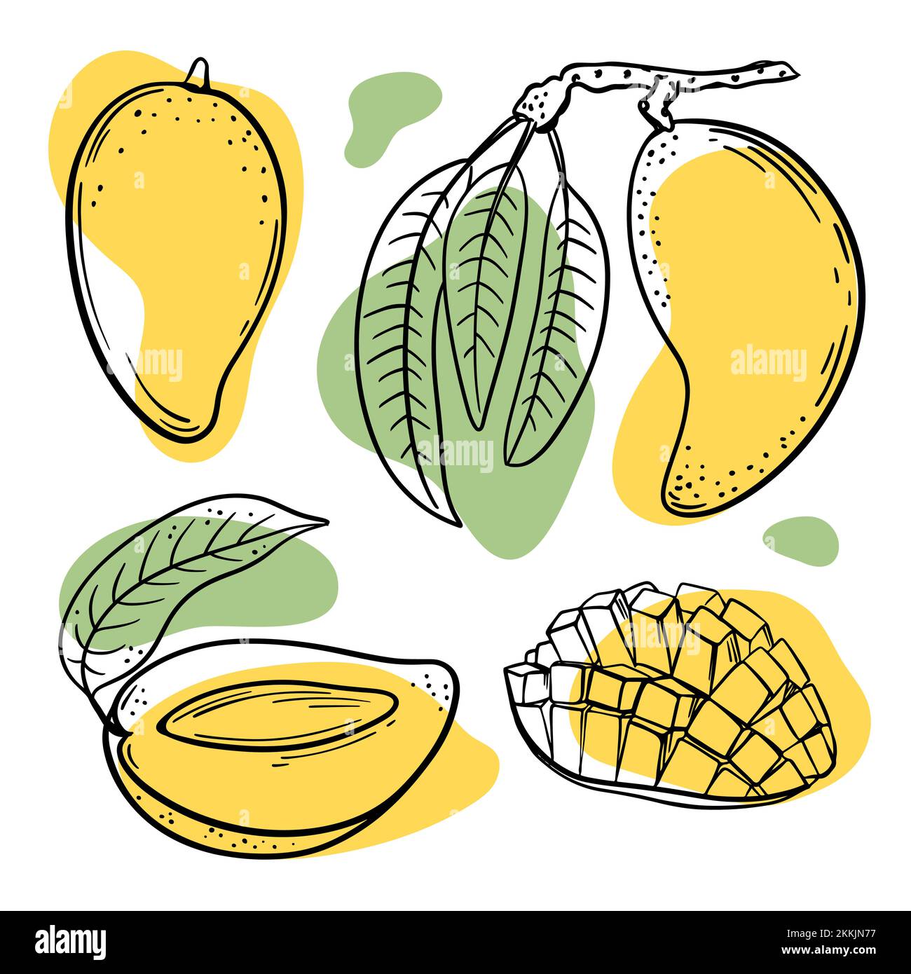 MANGO BRANCH Abstract Delicious Tropical Fruits Whole And Slices With Leaves For Design Of Grocery Store And Restaurant Menu In Sketch Vector Illustra Stock Vector