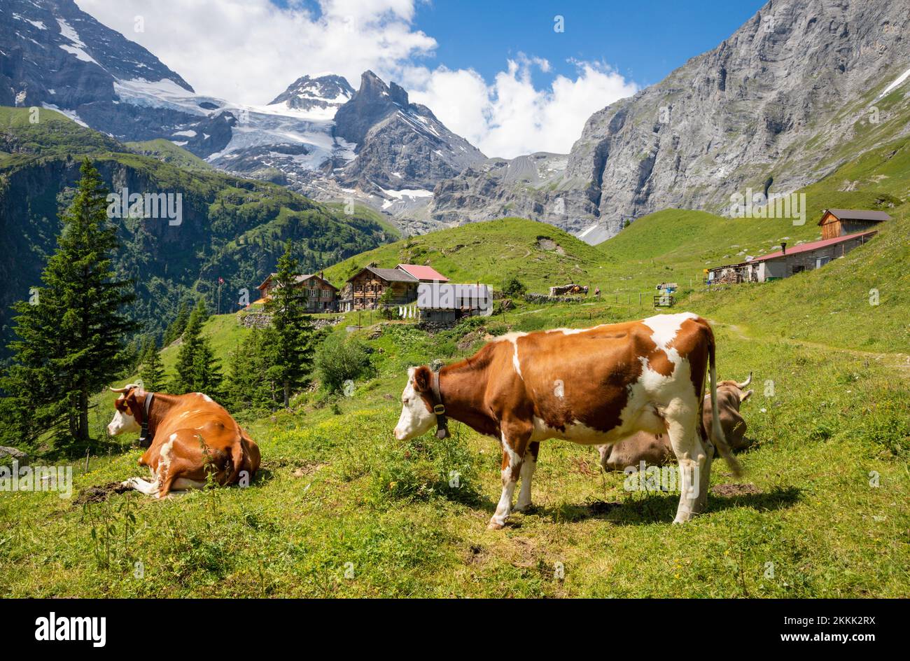 The Hineres Lauterbrunnental valley with the Breithorn and Wetterlucke