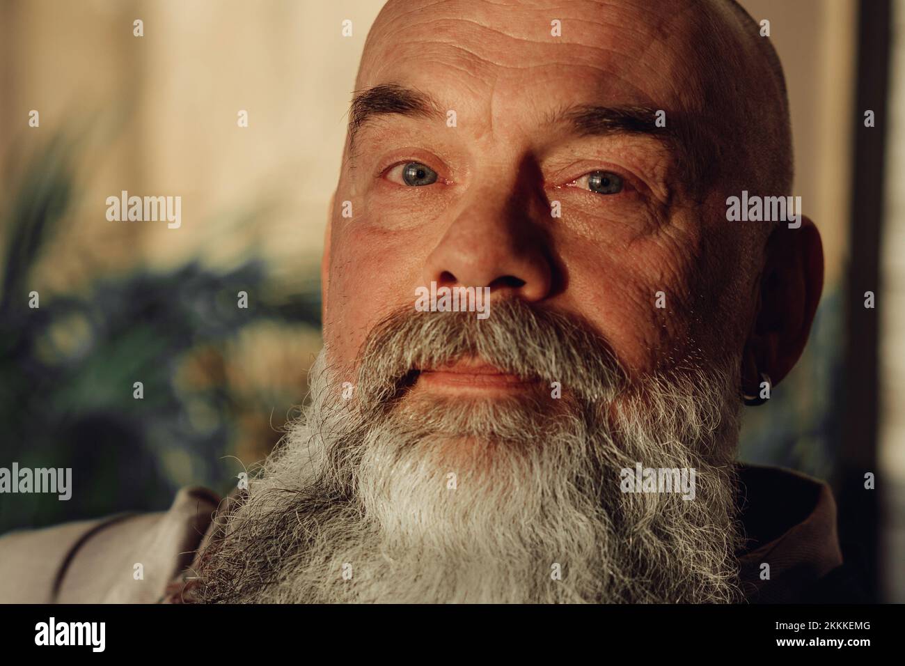 mature bearded man looking at the camera. Stock Photo