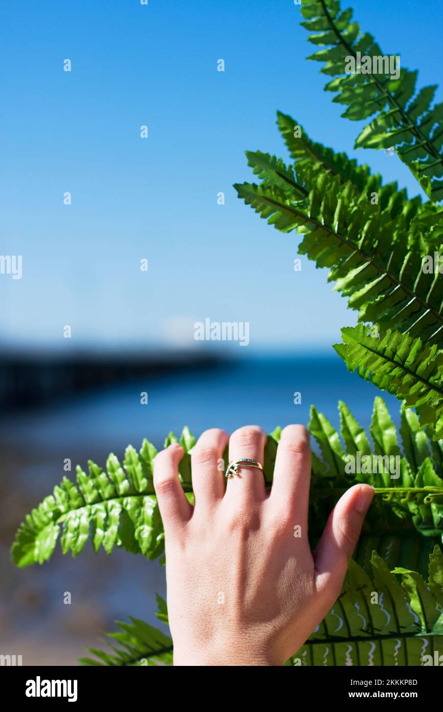 Human Hand Pulls Down A Leaf To Reveal A Hidden Beach Oasis Stock Photo -  Alamy