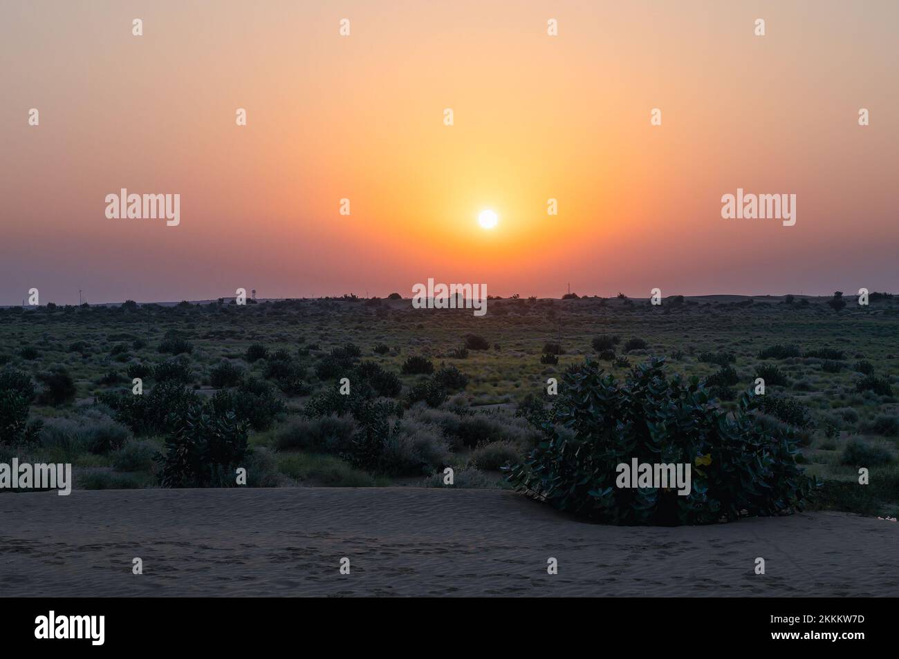 Sun rising at the horizon of Thar desert, Rajasthan, India. Tourists from across India visits to watch desert sun rise at Thar desert. Stock Photo