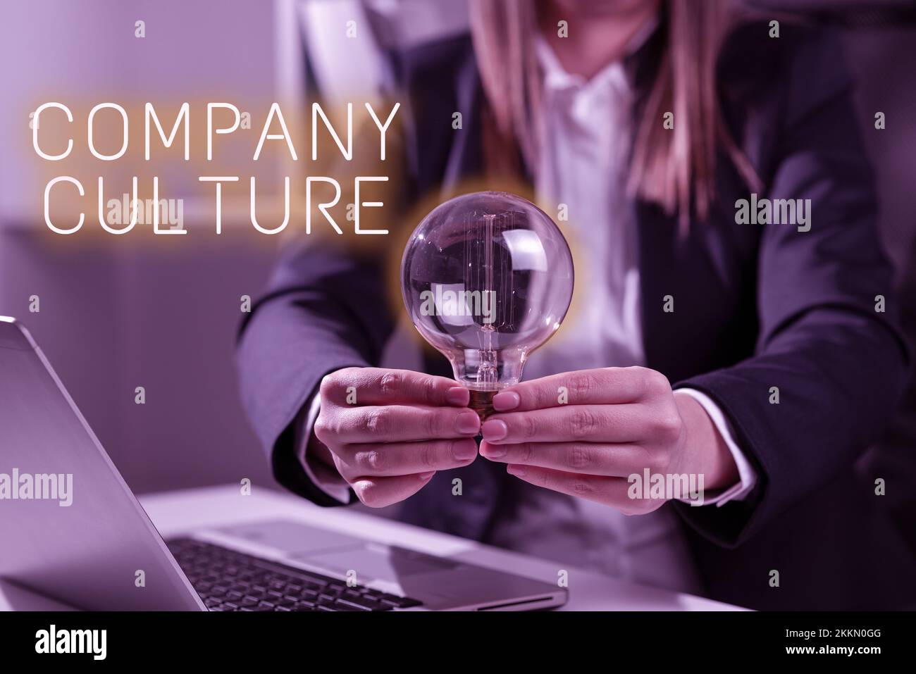 Text sign showing Company Culture. Business showcase pervasive values ...