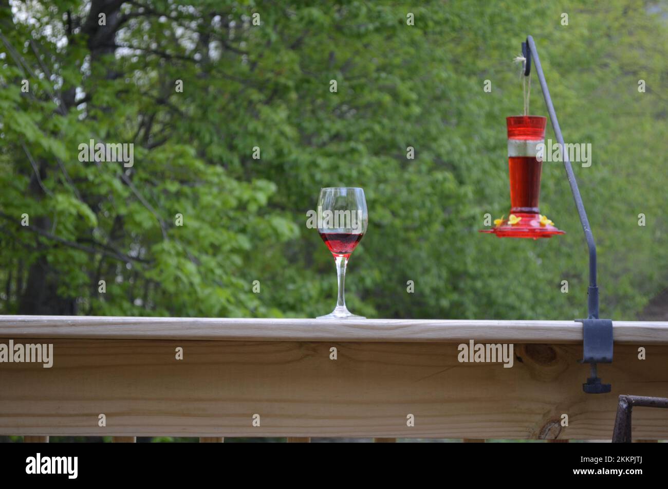 Red wine and Hummingbird feeder on a wood railing Stock Photo Alamy