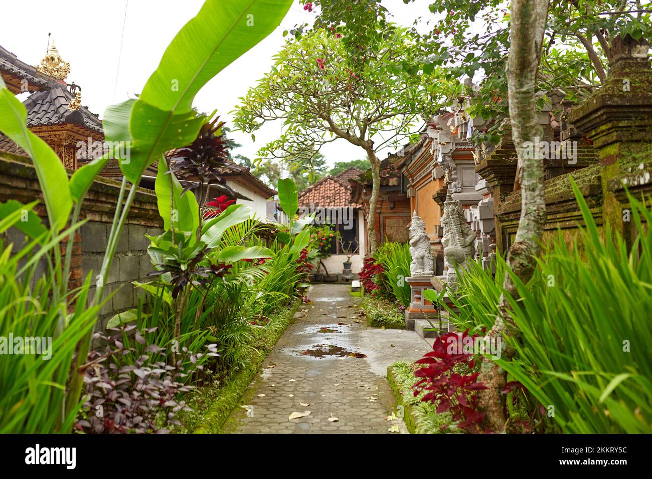 Interior of the courtyard of a house on the island of Bali Stock Photo ...