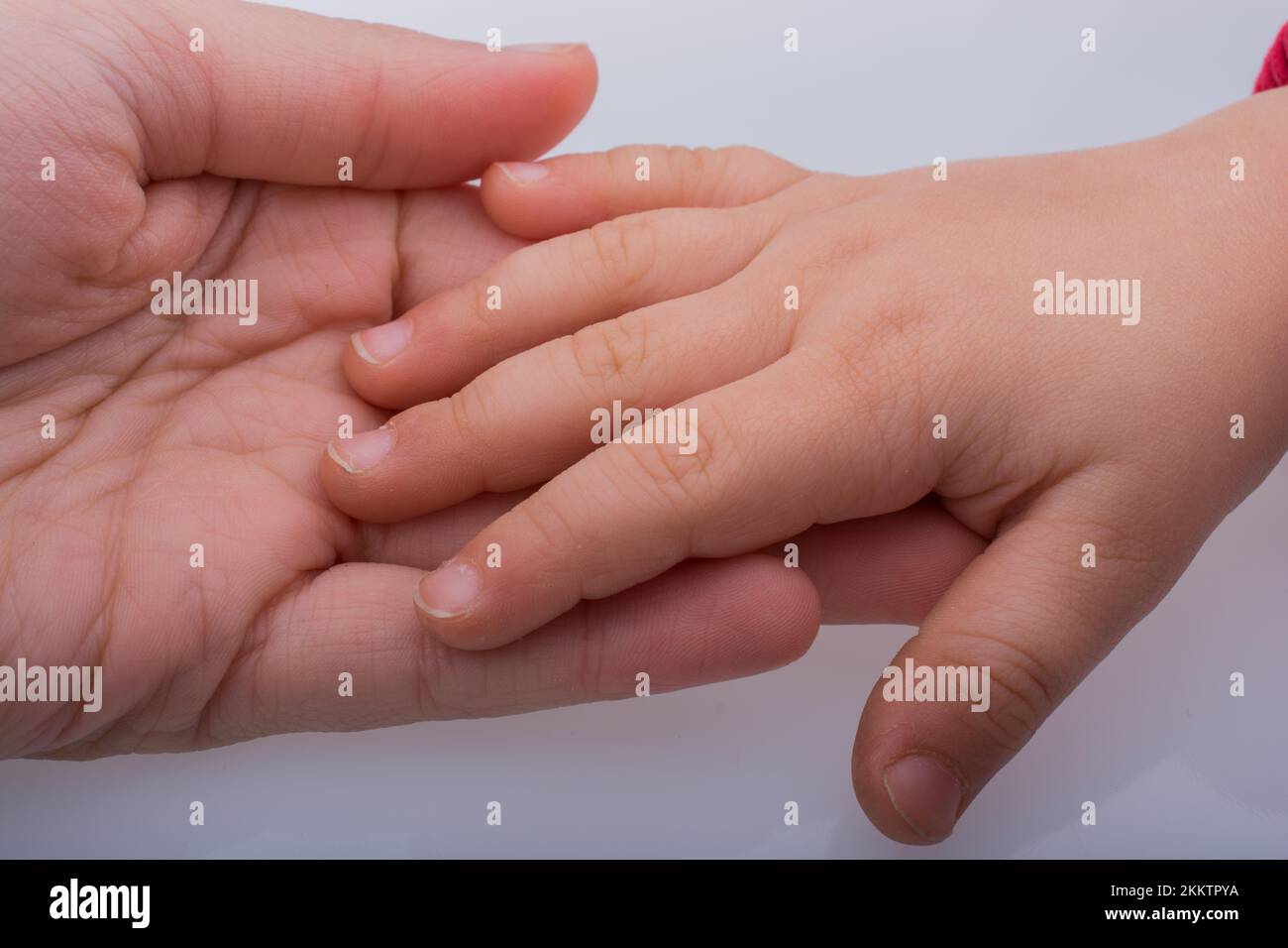 Child and grown up hands together on a white backgkround Stock Photo