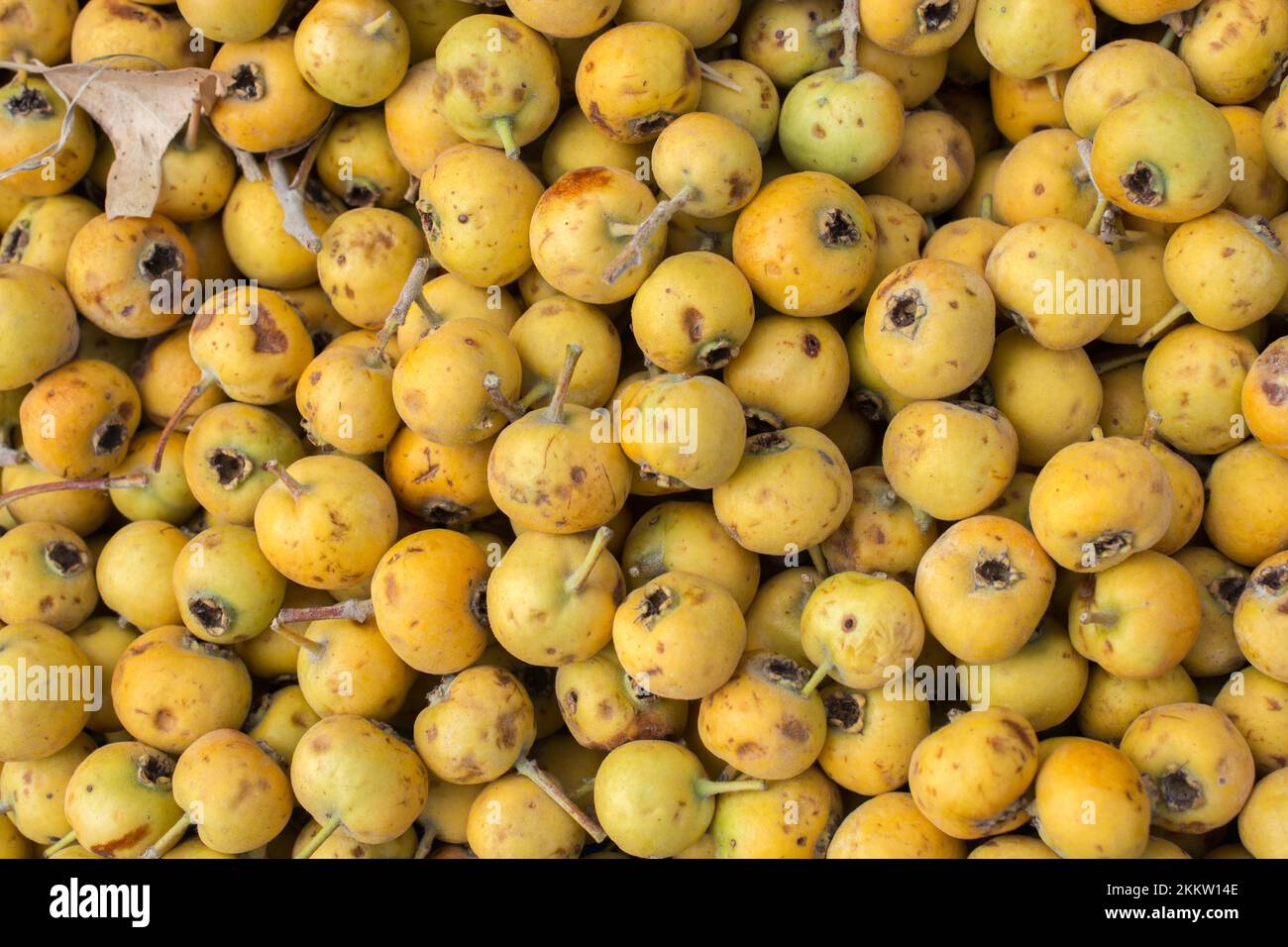 Azarole, mediterranean medlar picked up and sold in market Stock Photo