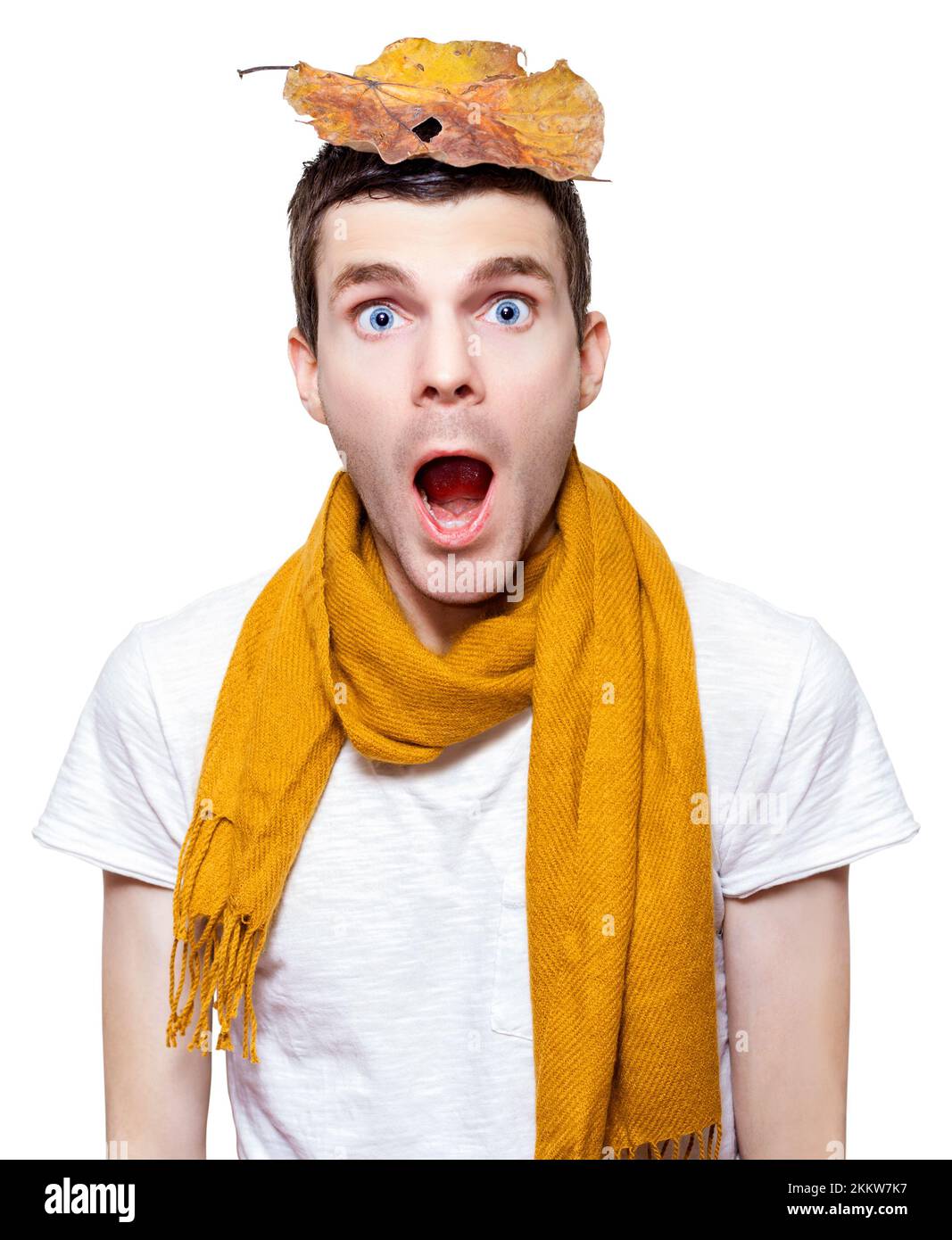 Isolated Allergic Man About To Sneeze In A Seasonal Depiction Of A Hay