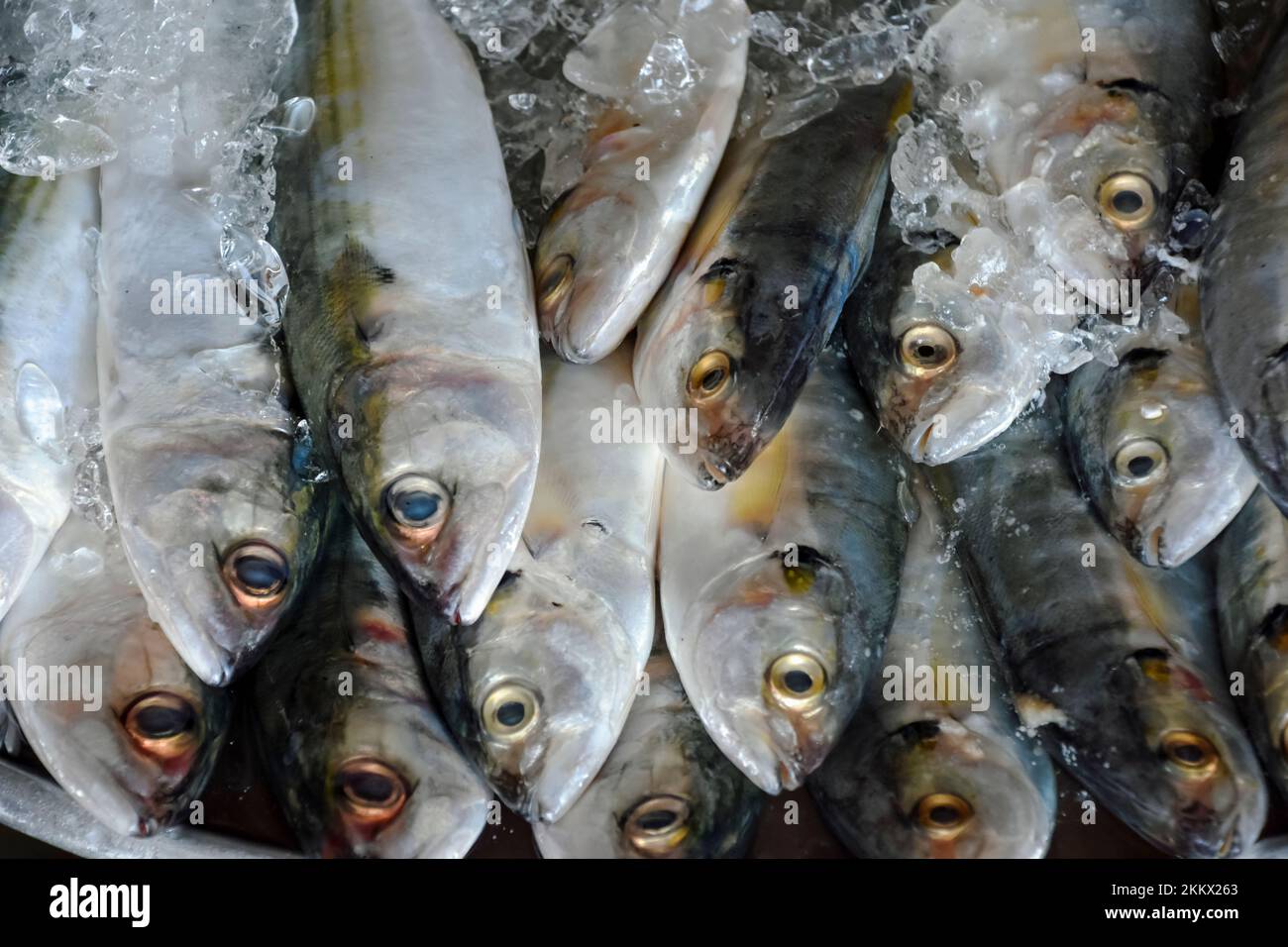 Near view of a dish full of frish small fishes to sell on a market stand Stock Photo
