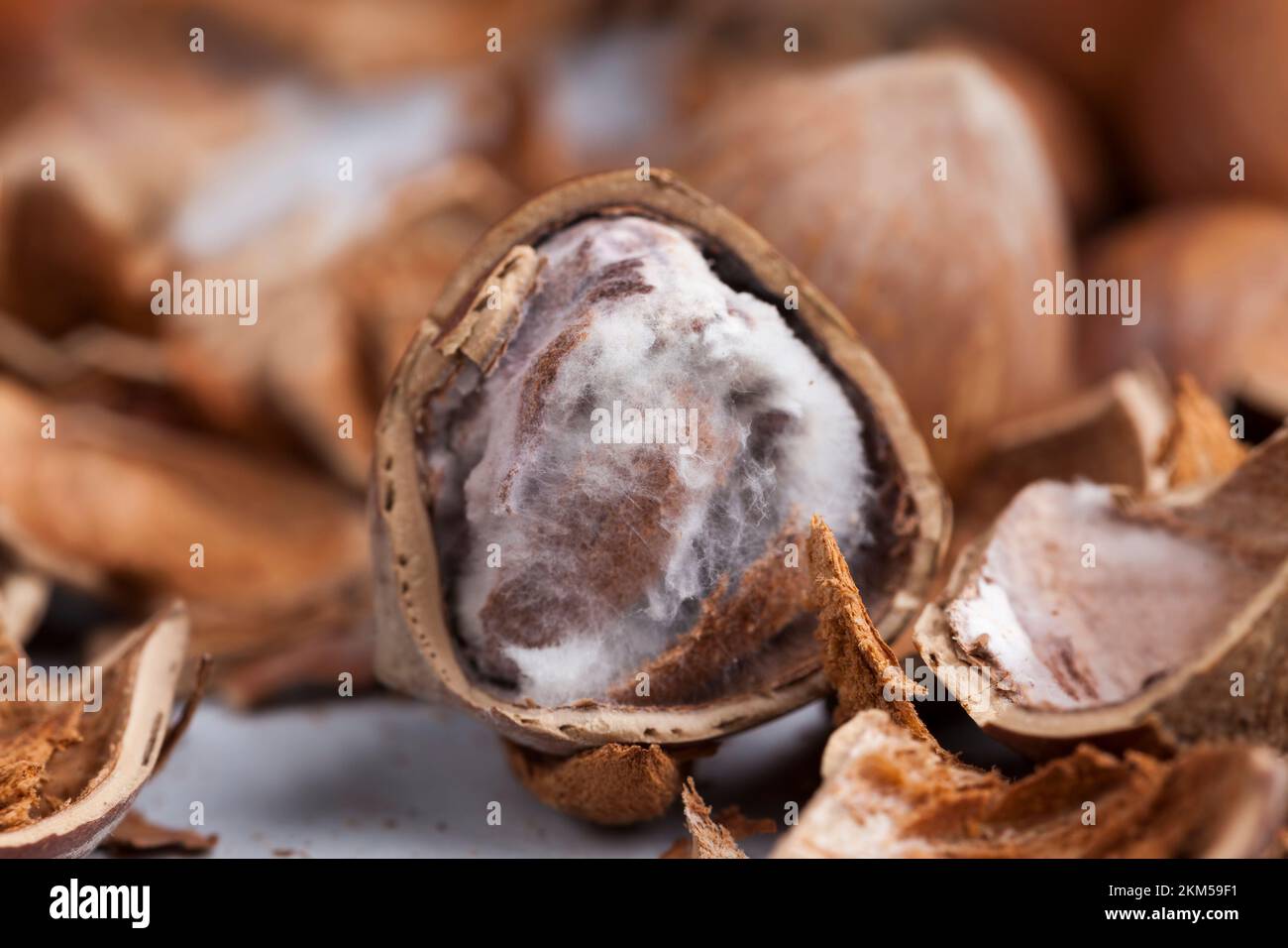 ripe hazelnuts ready for eating, hazelnuts peeled from the shell Stock